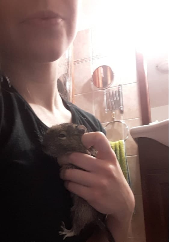 image-18