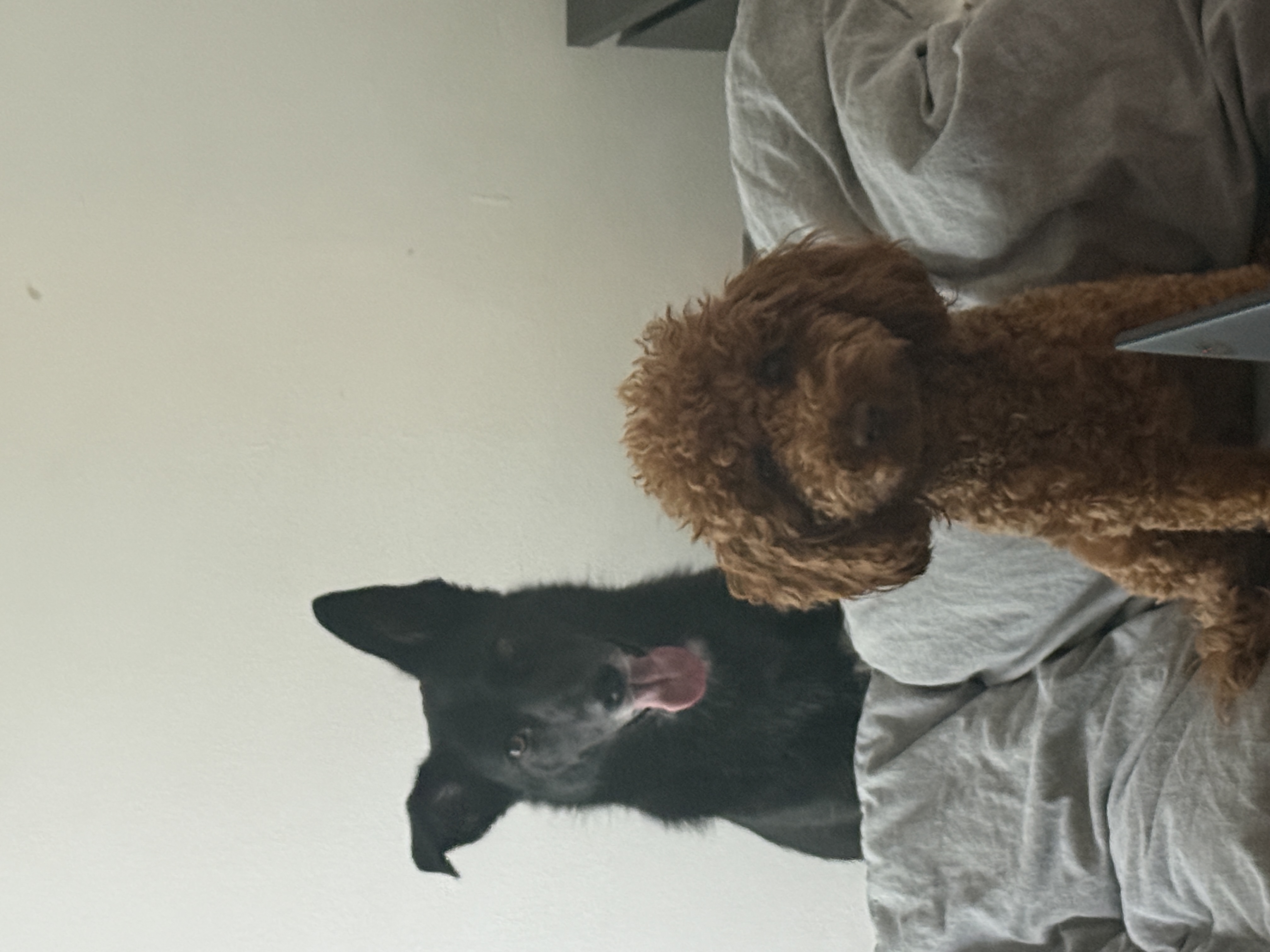 image-17