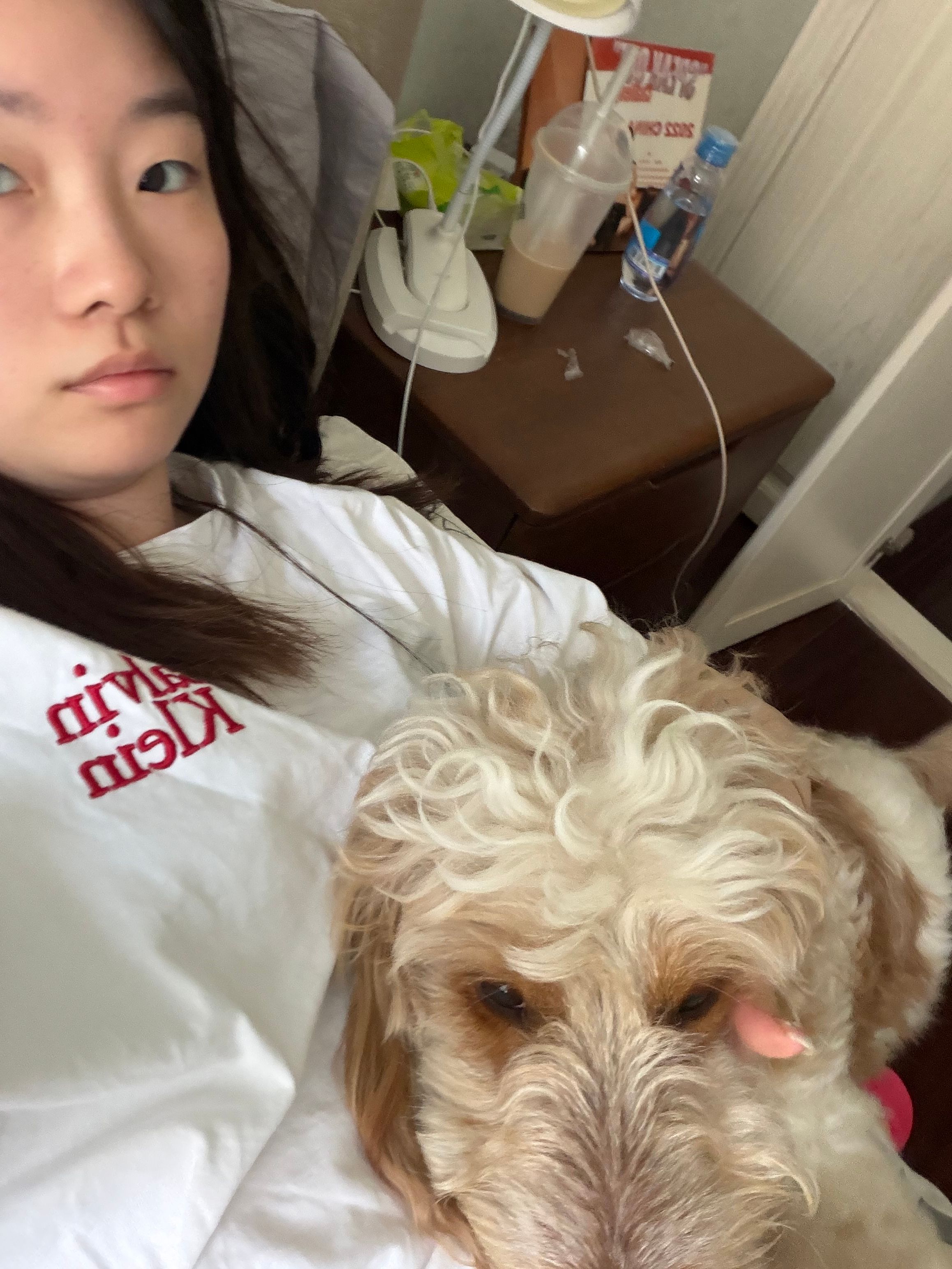 image-4