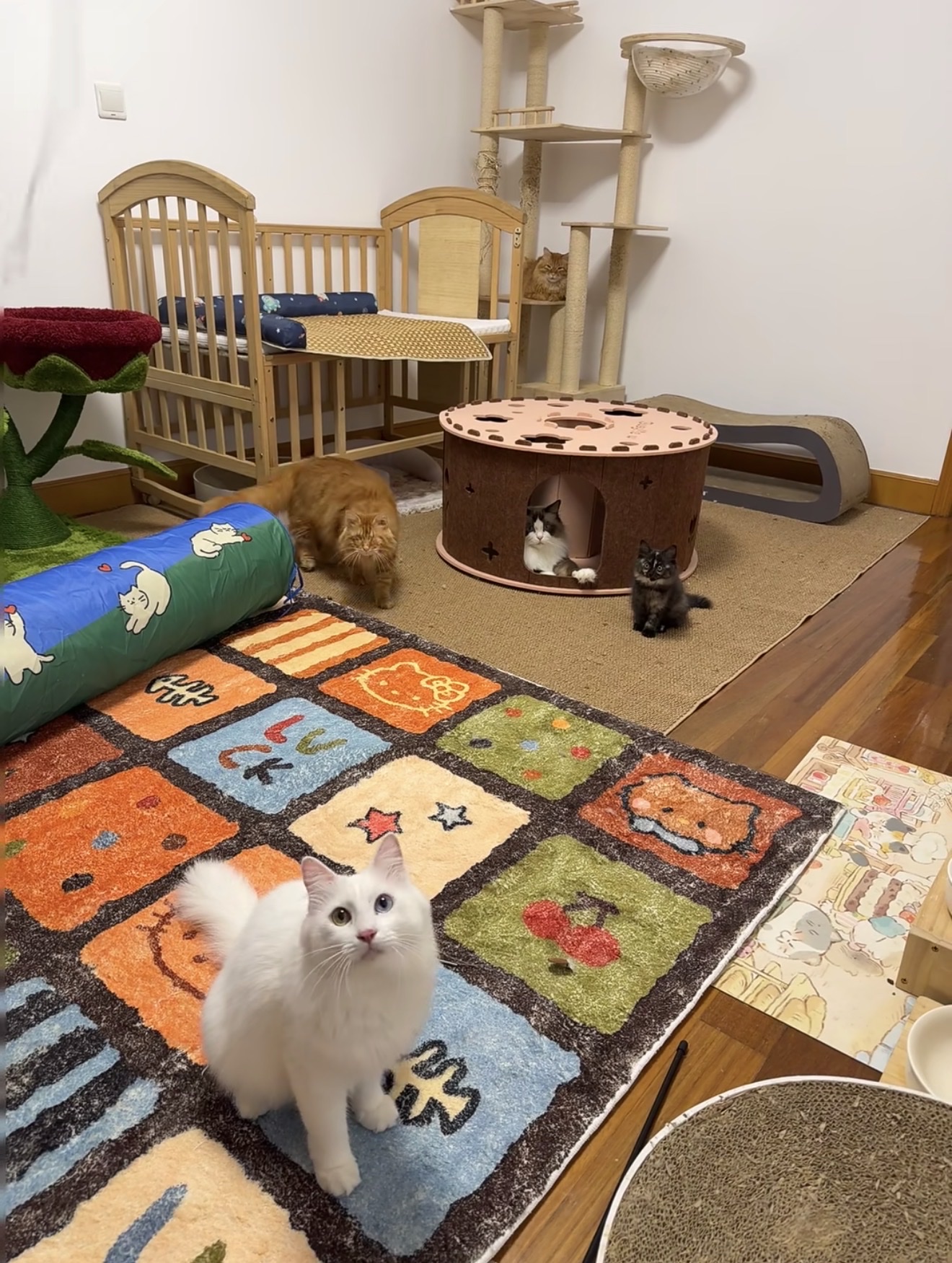 image-9