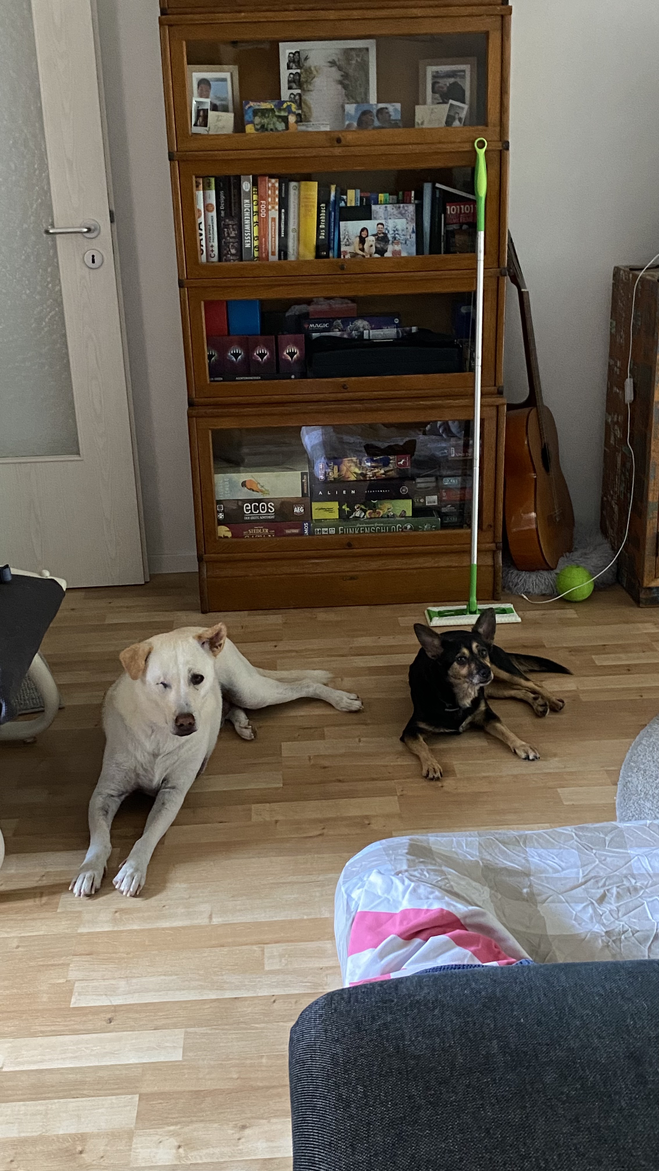 image-18