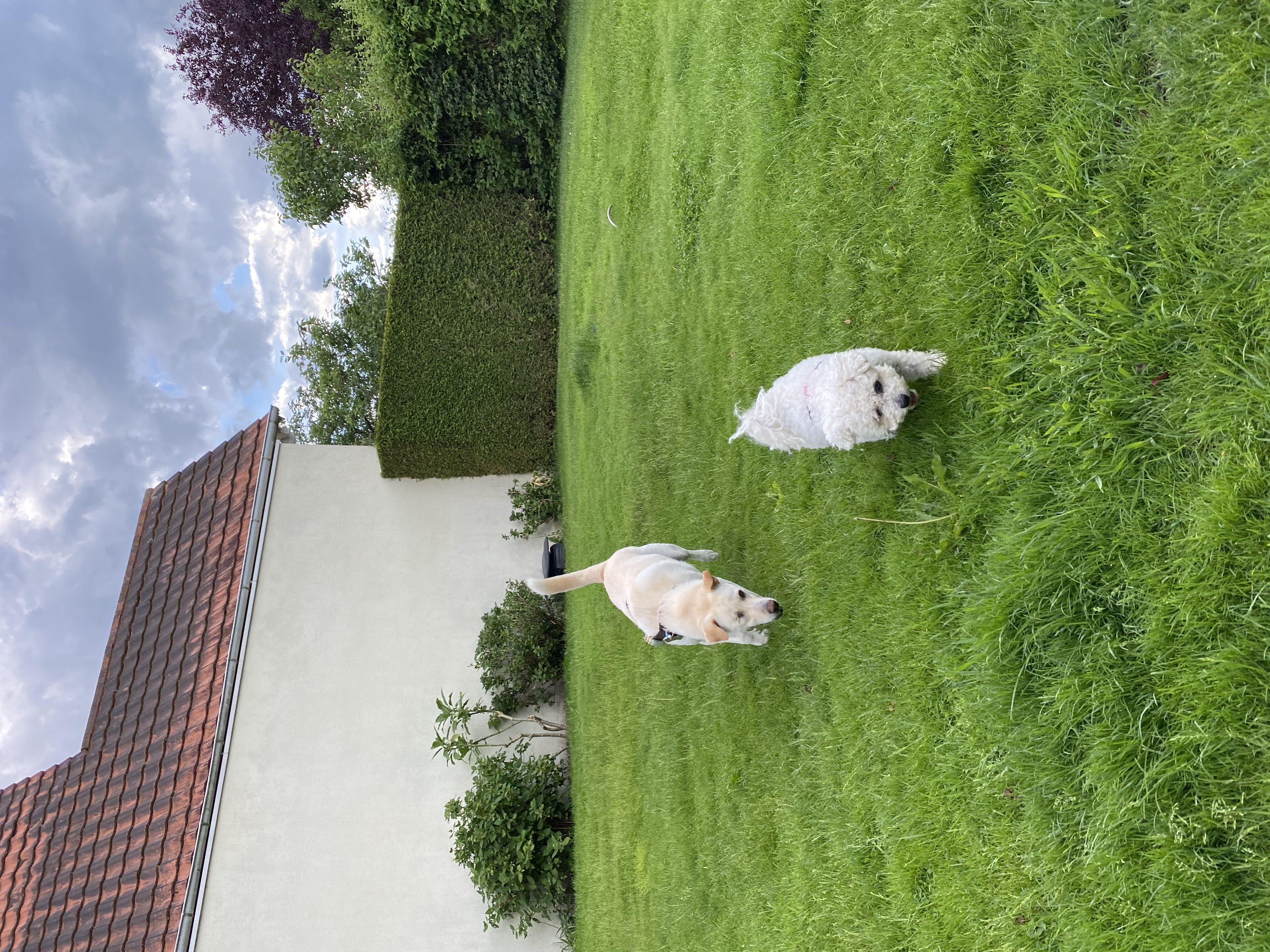 image-16