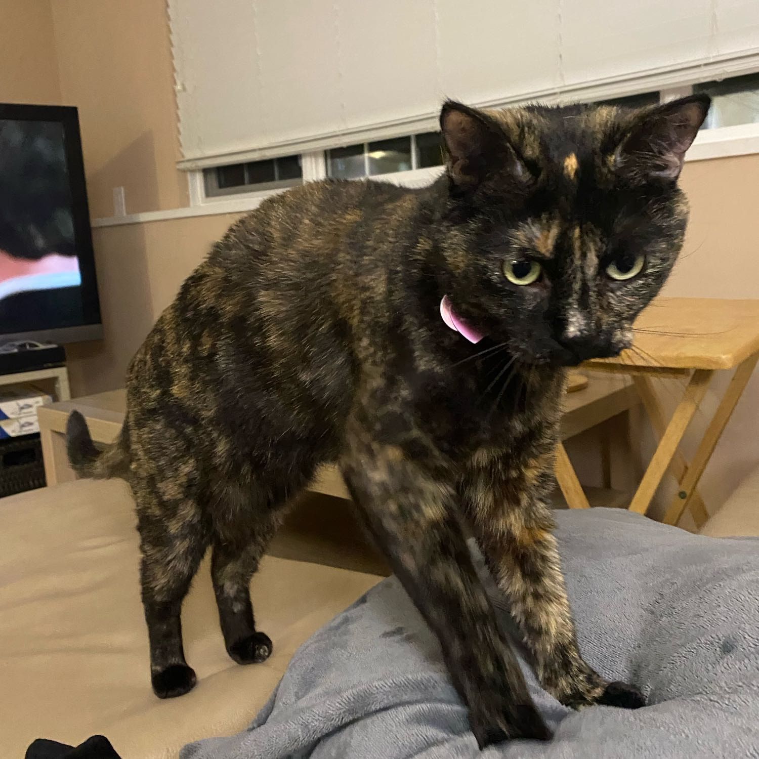 Princess Fuzzy