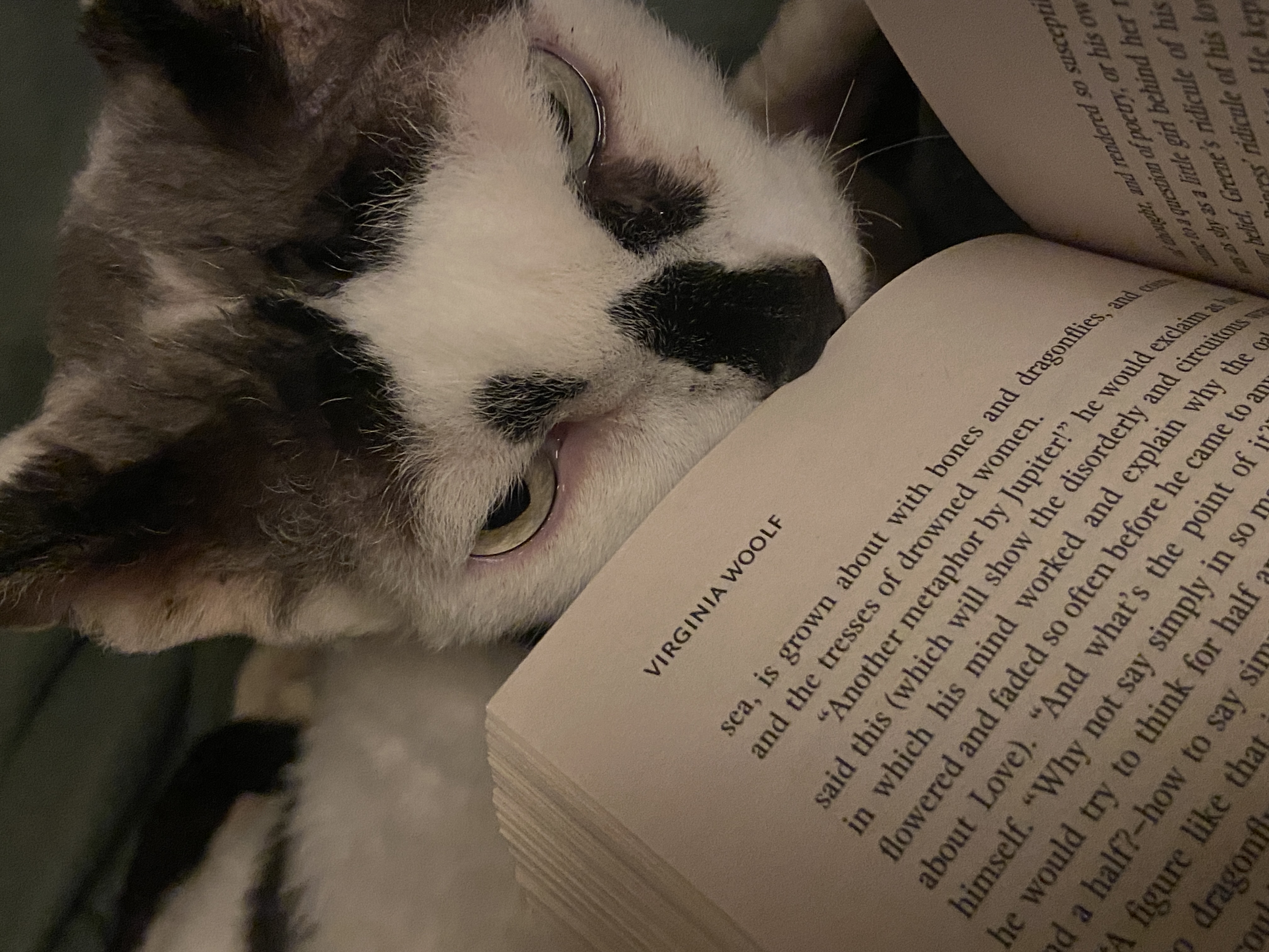 image-9