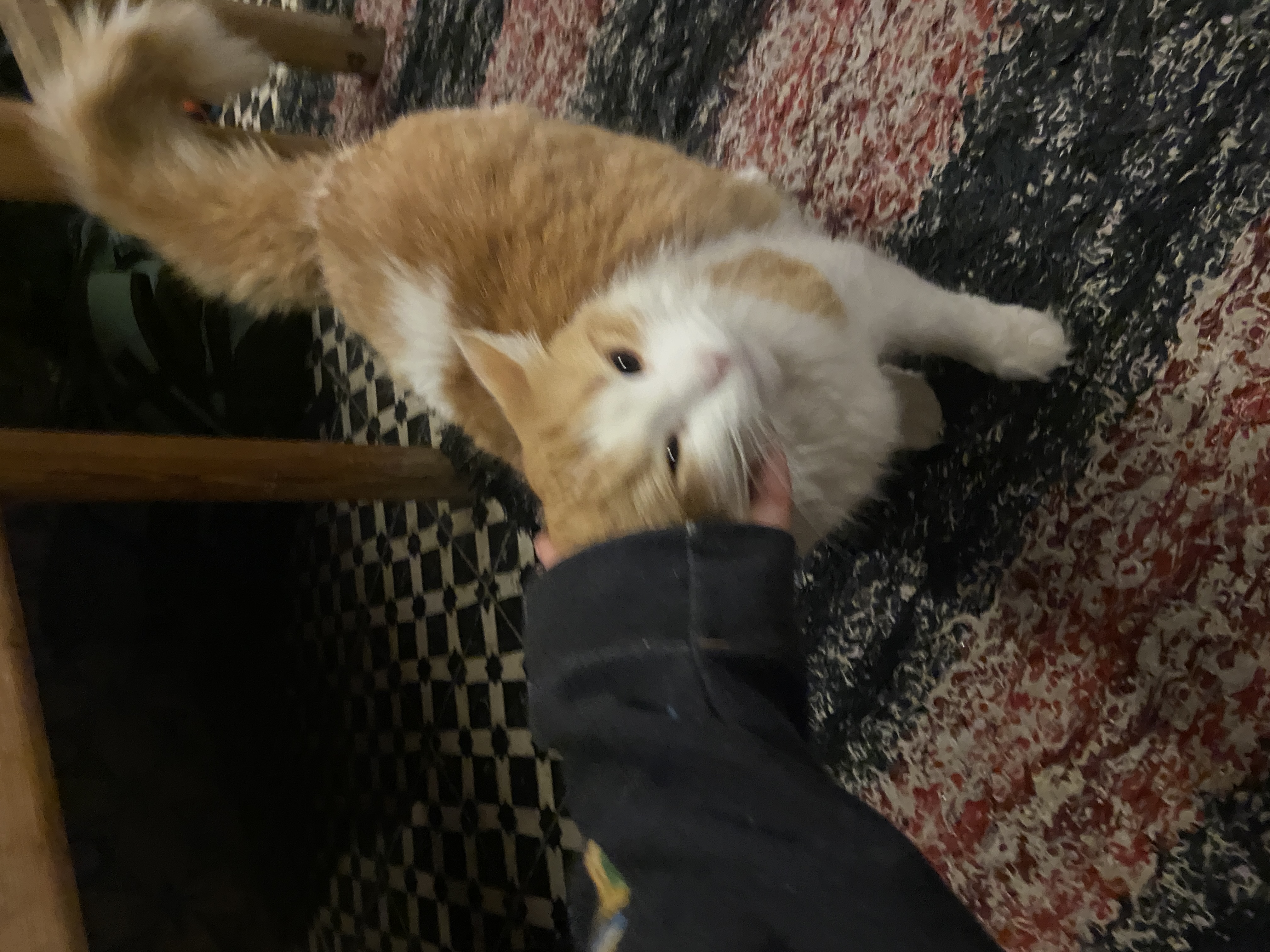 image-10