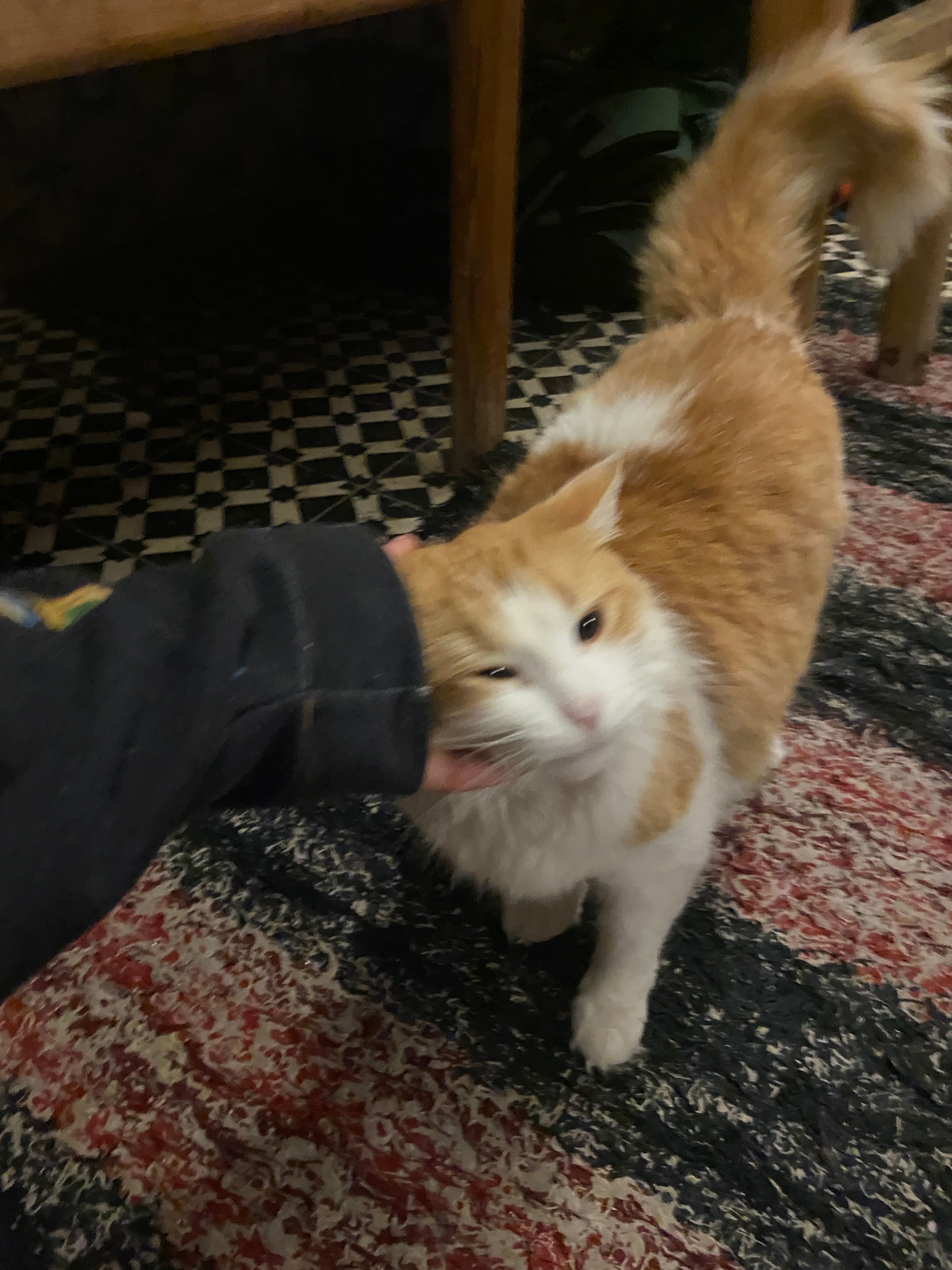image-10