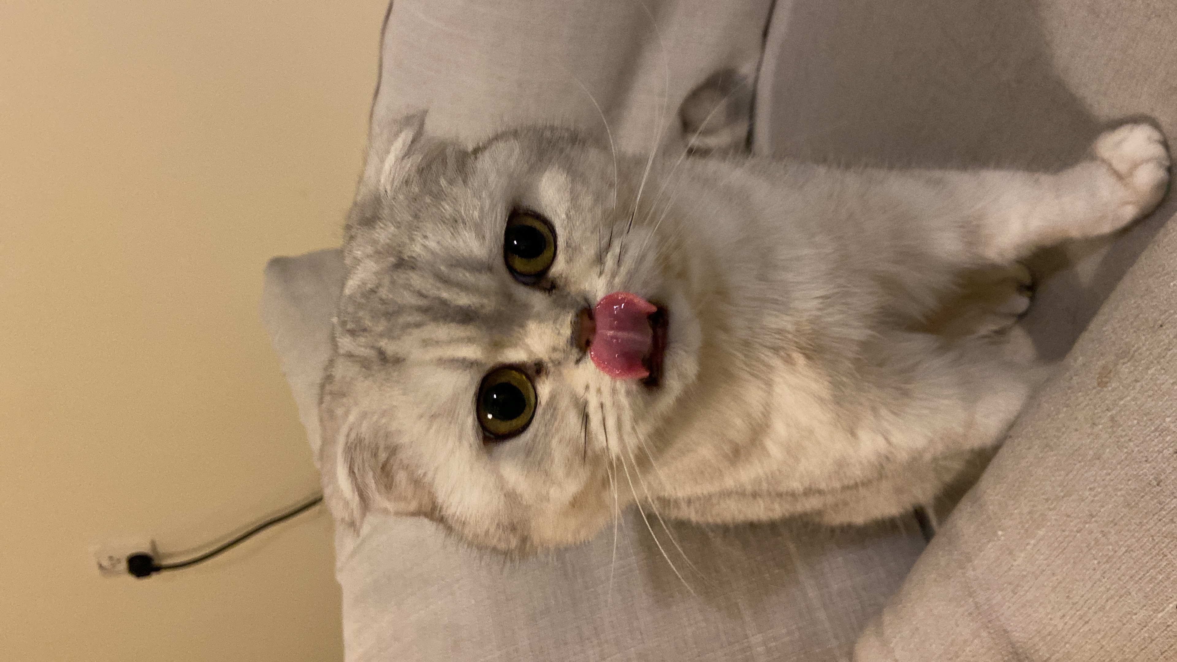 image-8