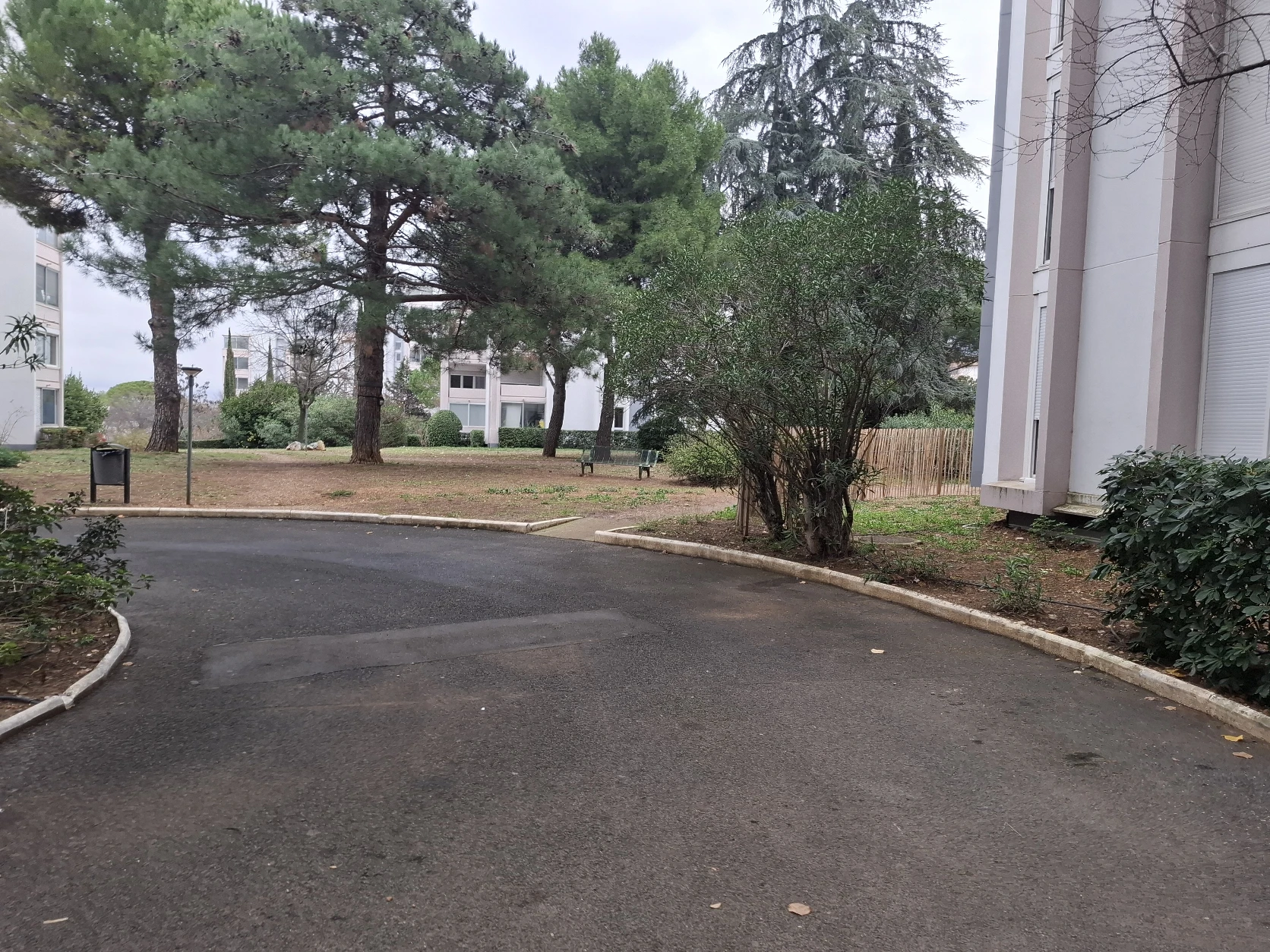 image-19
