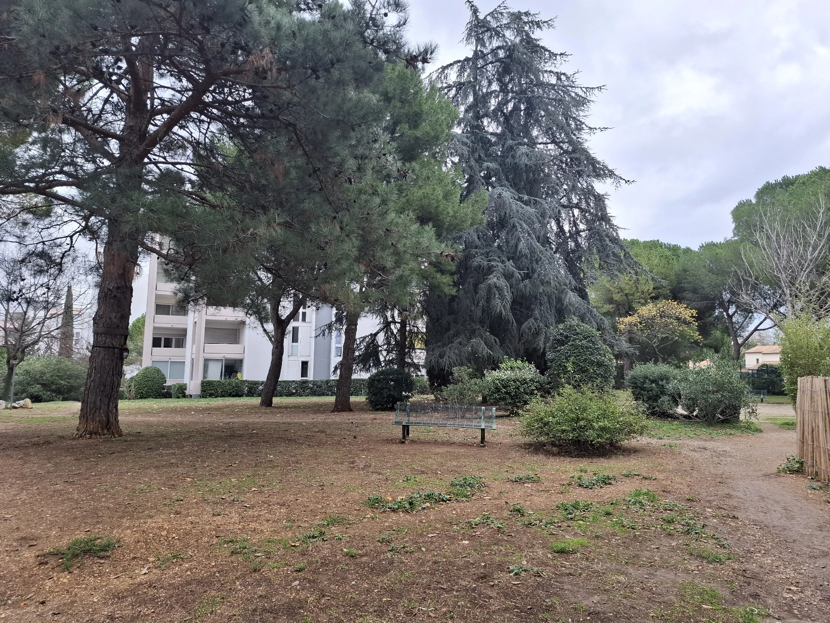 image-20