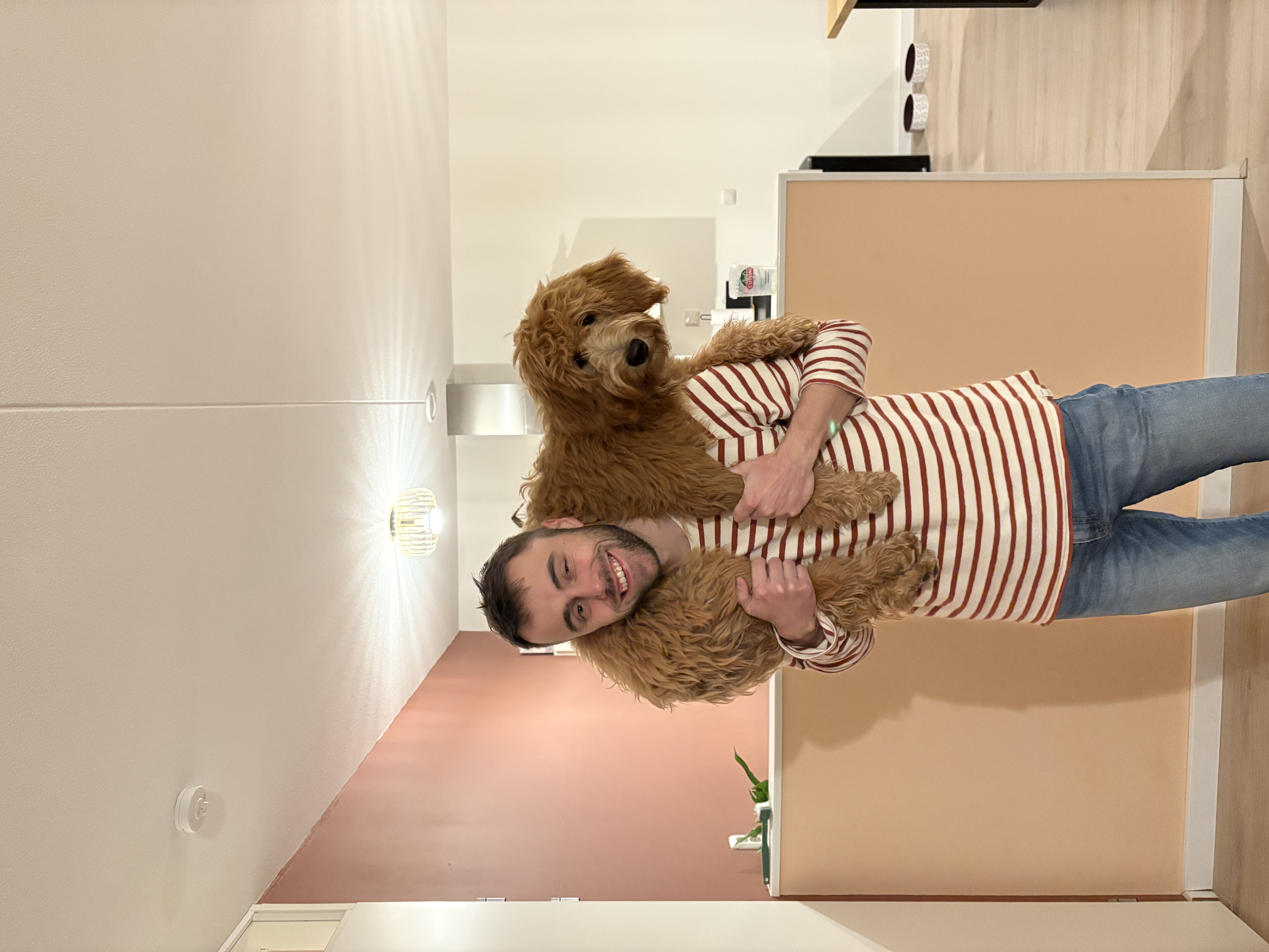 image-6