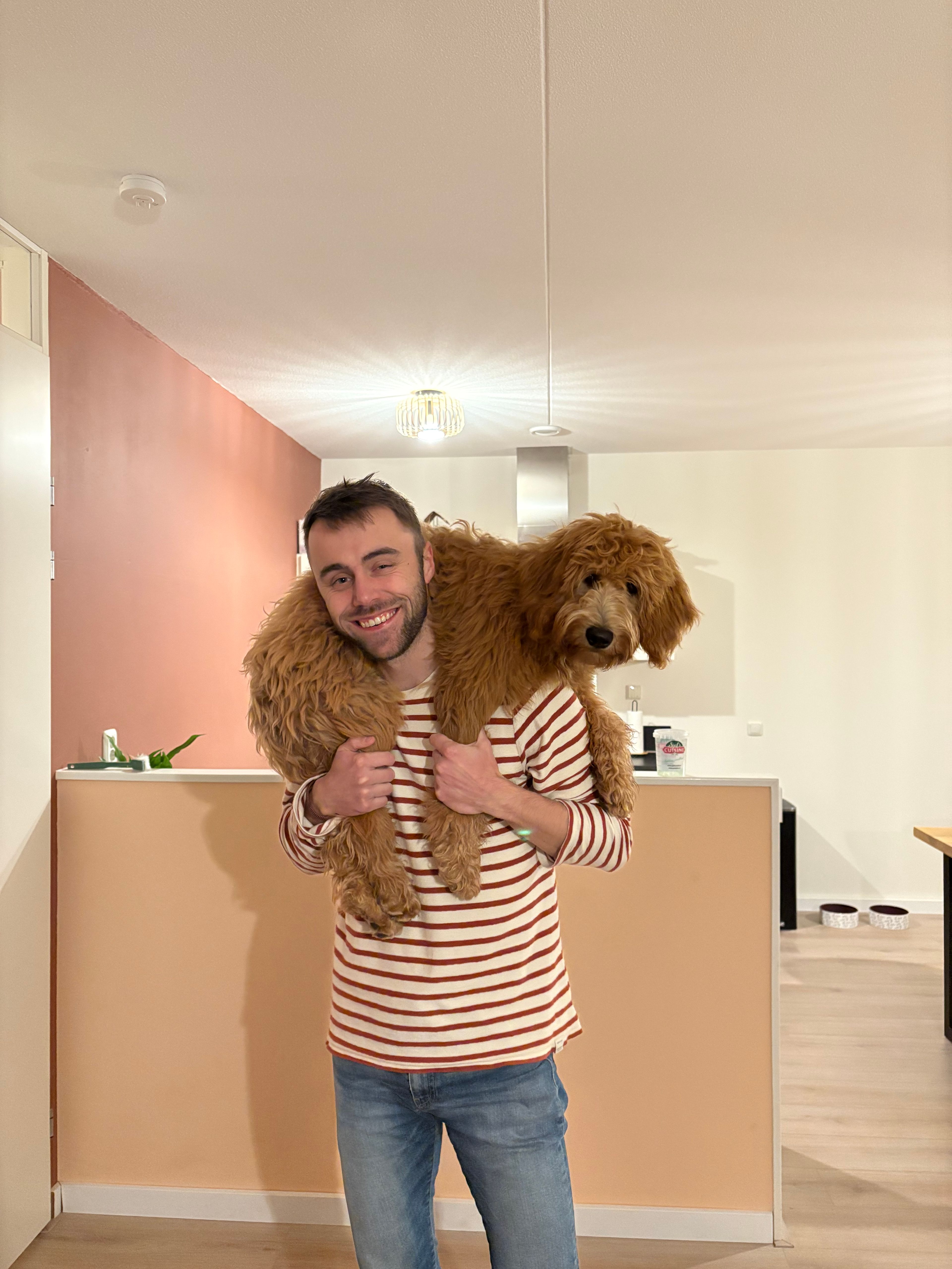 image-6