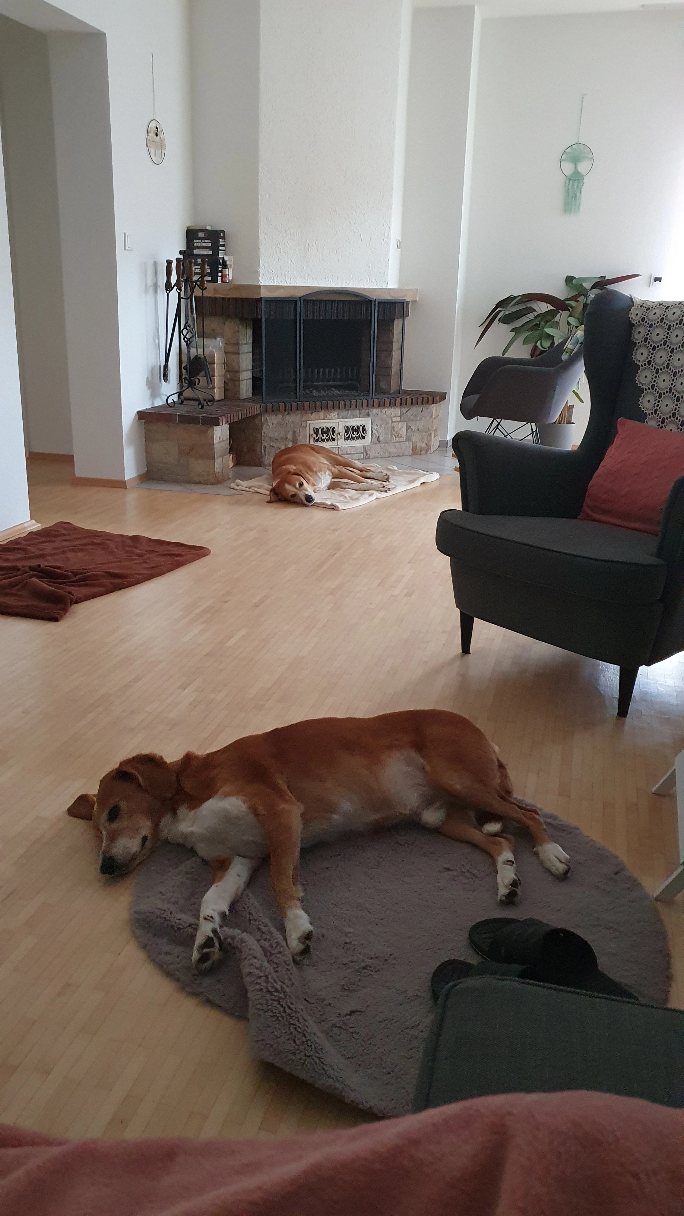 image-17