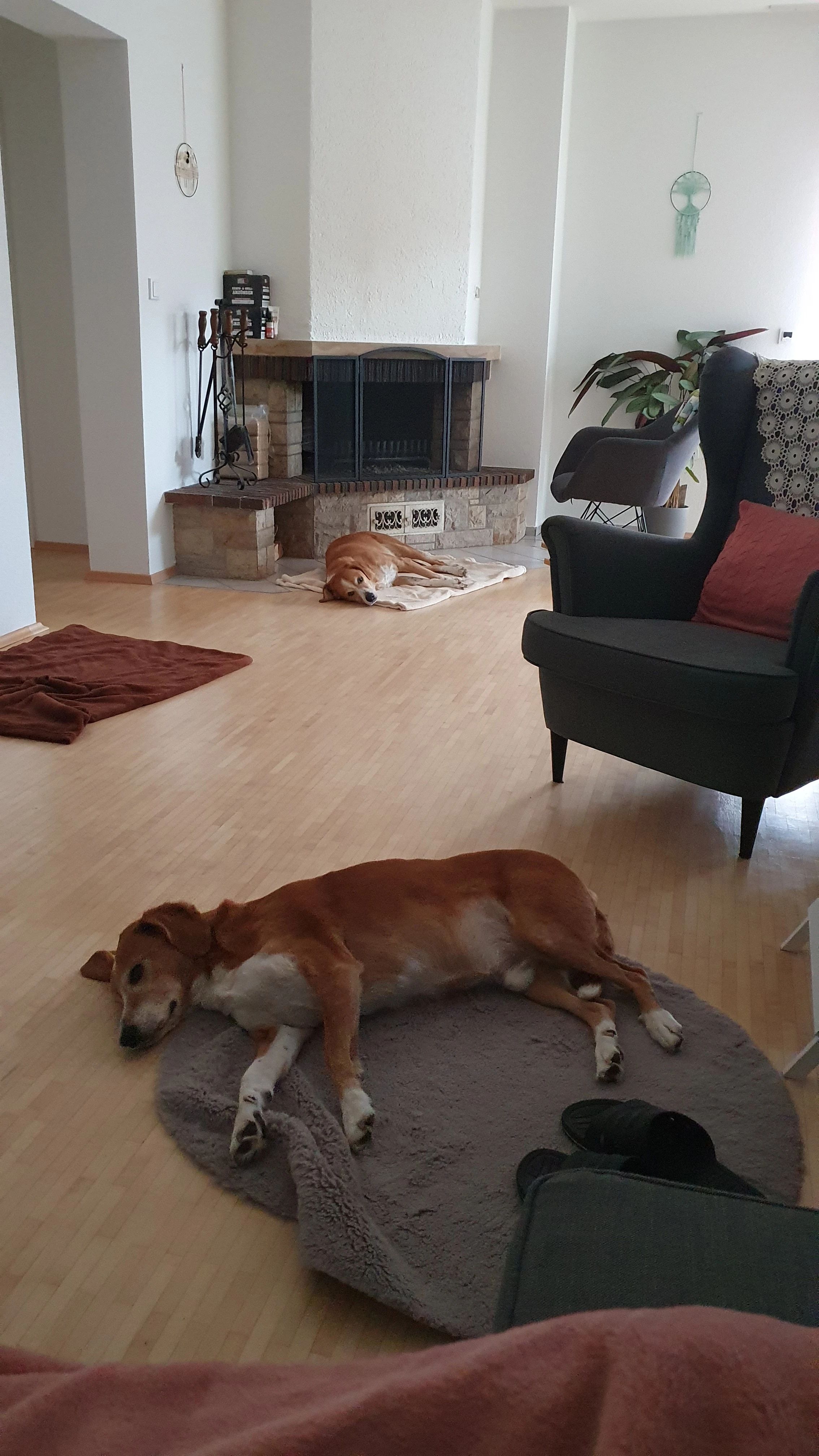 image-17