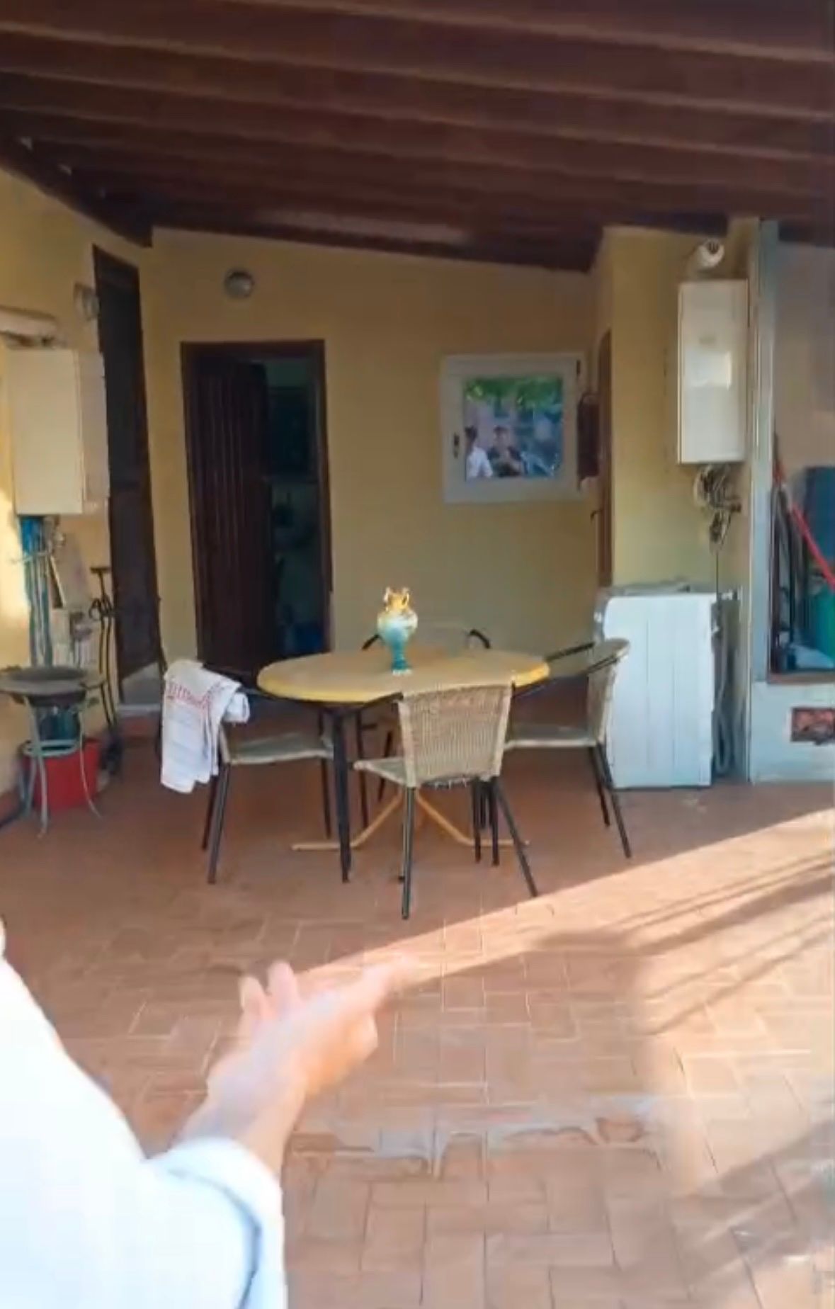image-11