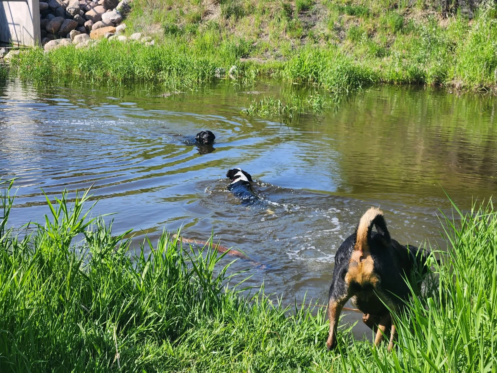 image-10