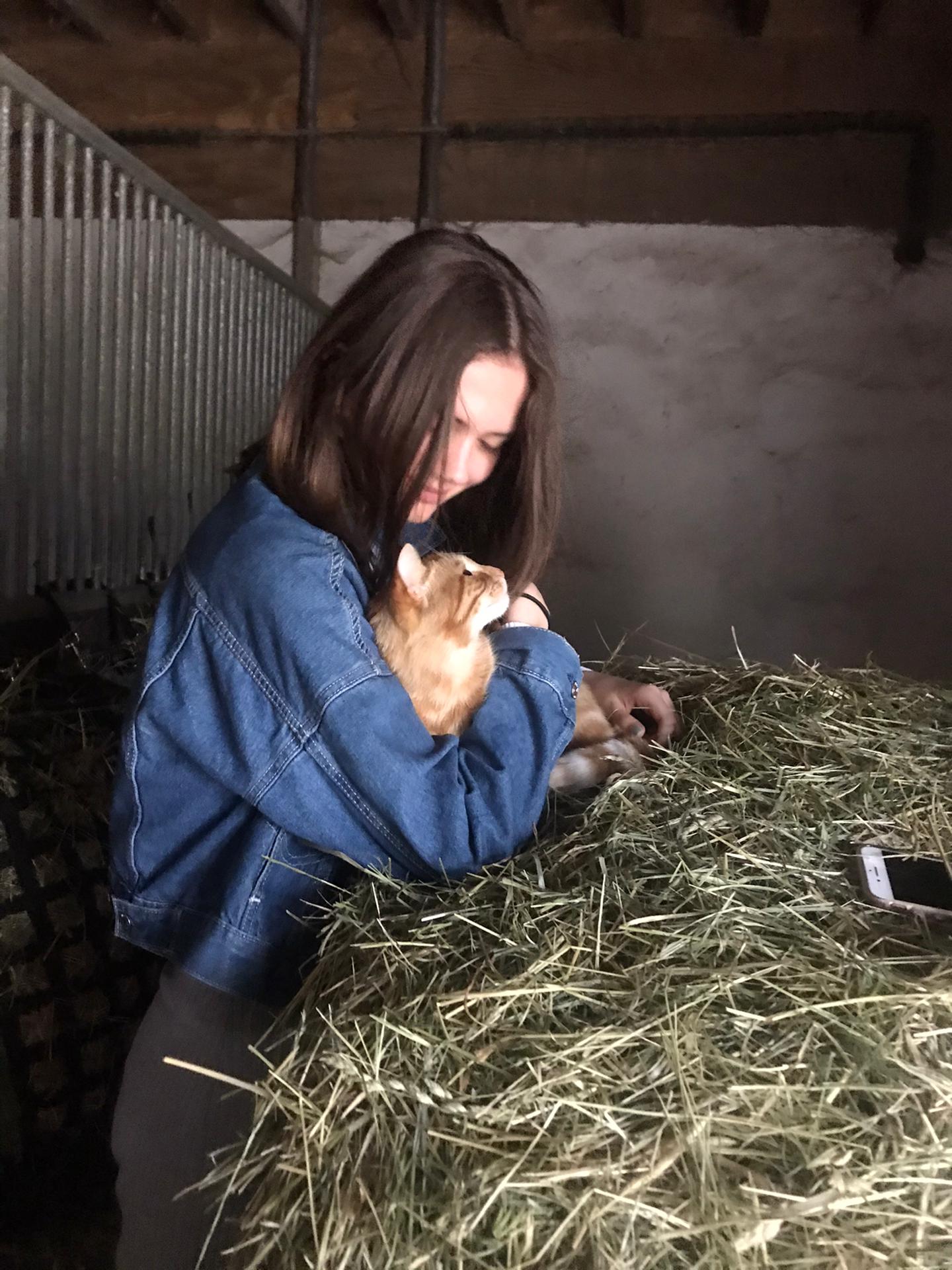 image-6