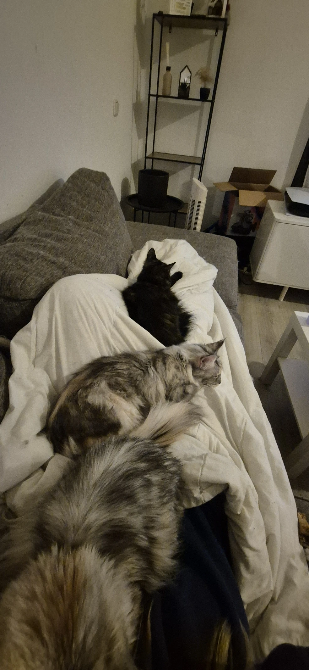 image-8