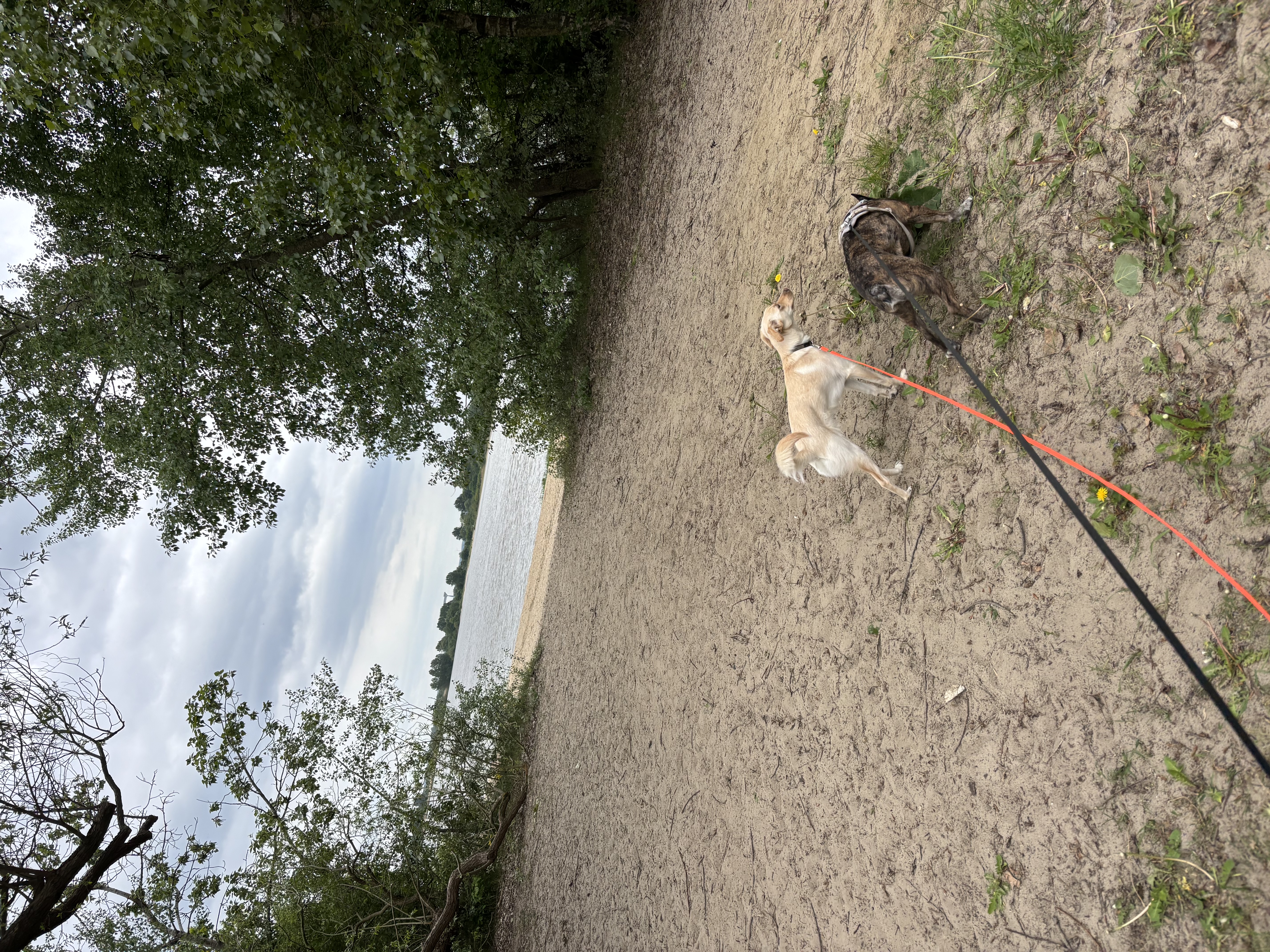 image-14