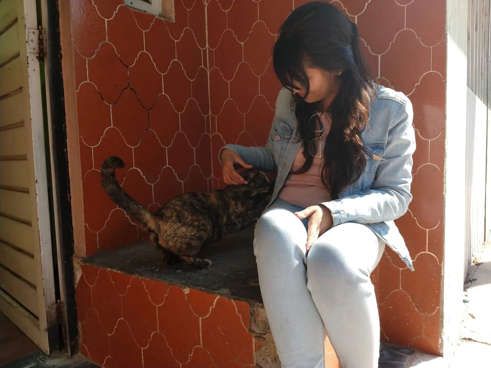 image-5