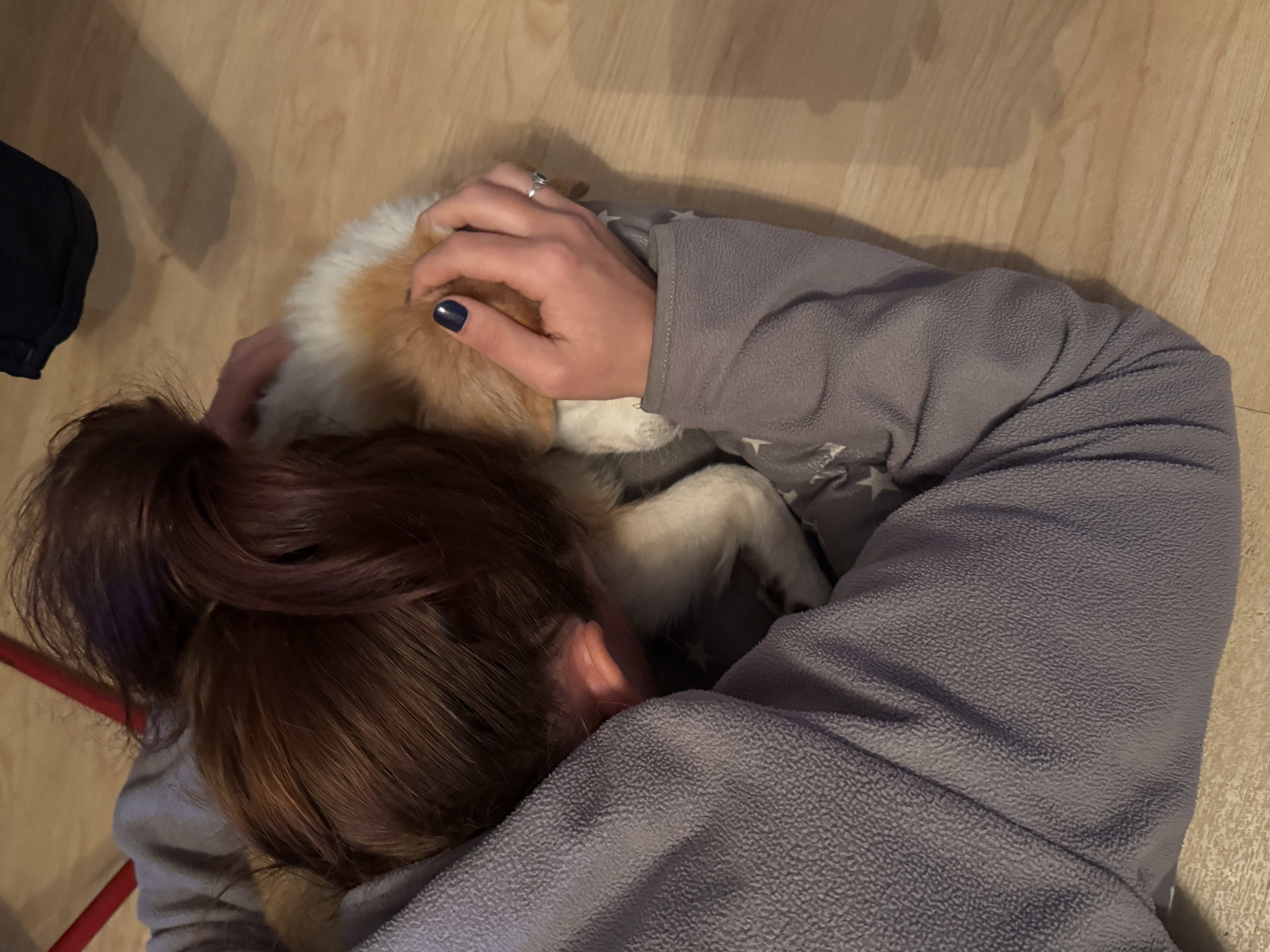 image-7