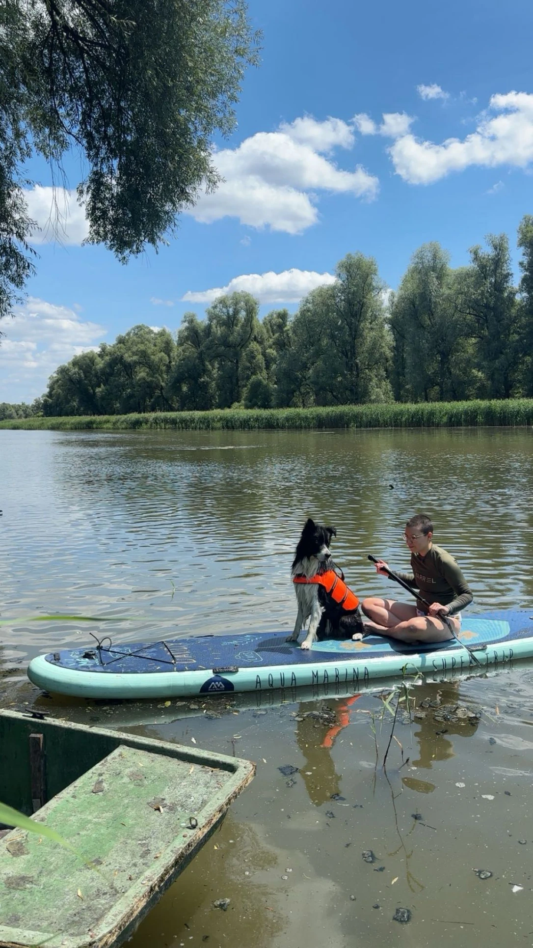 image-10