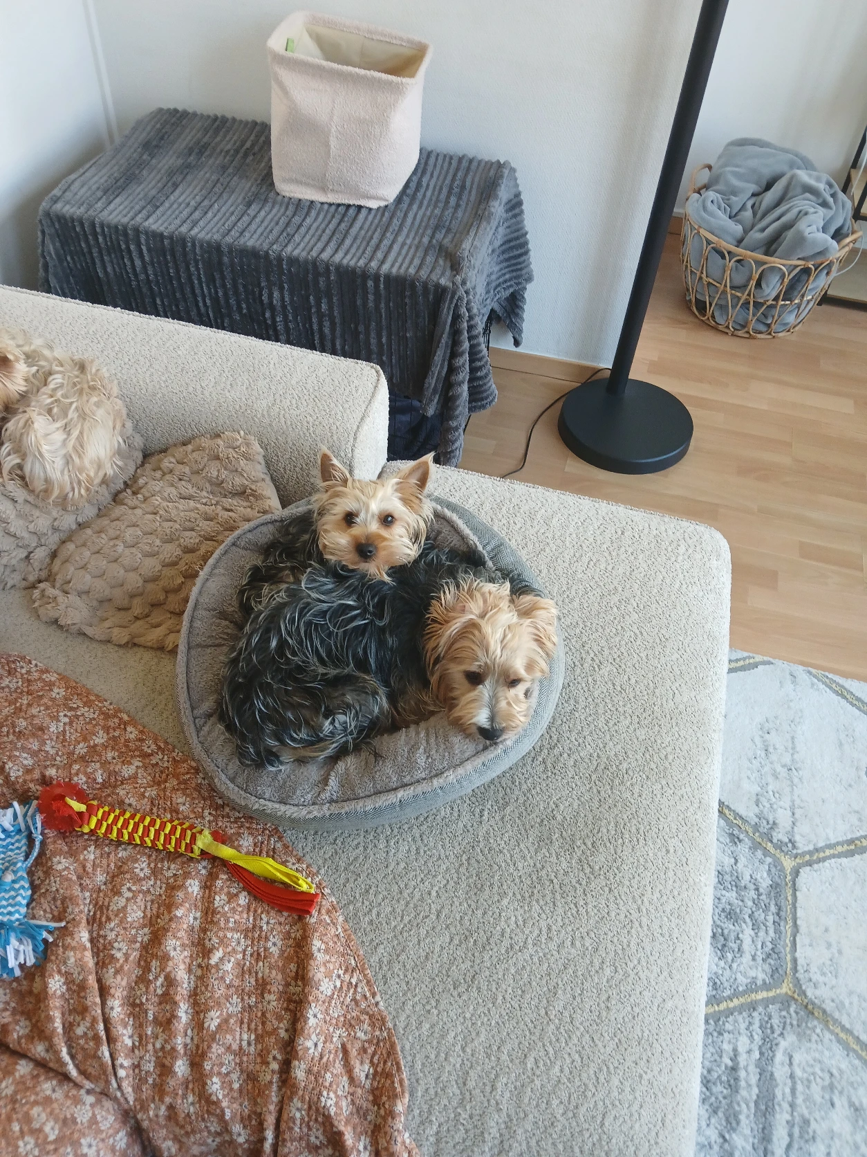 image-9