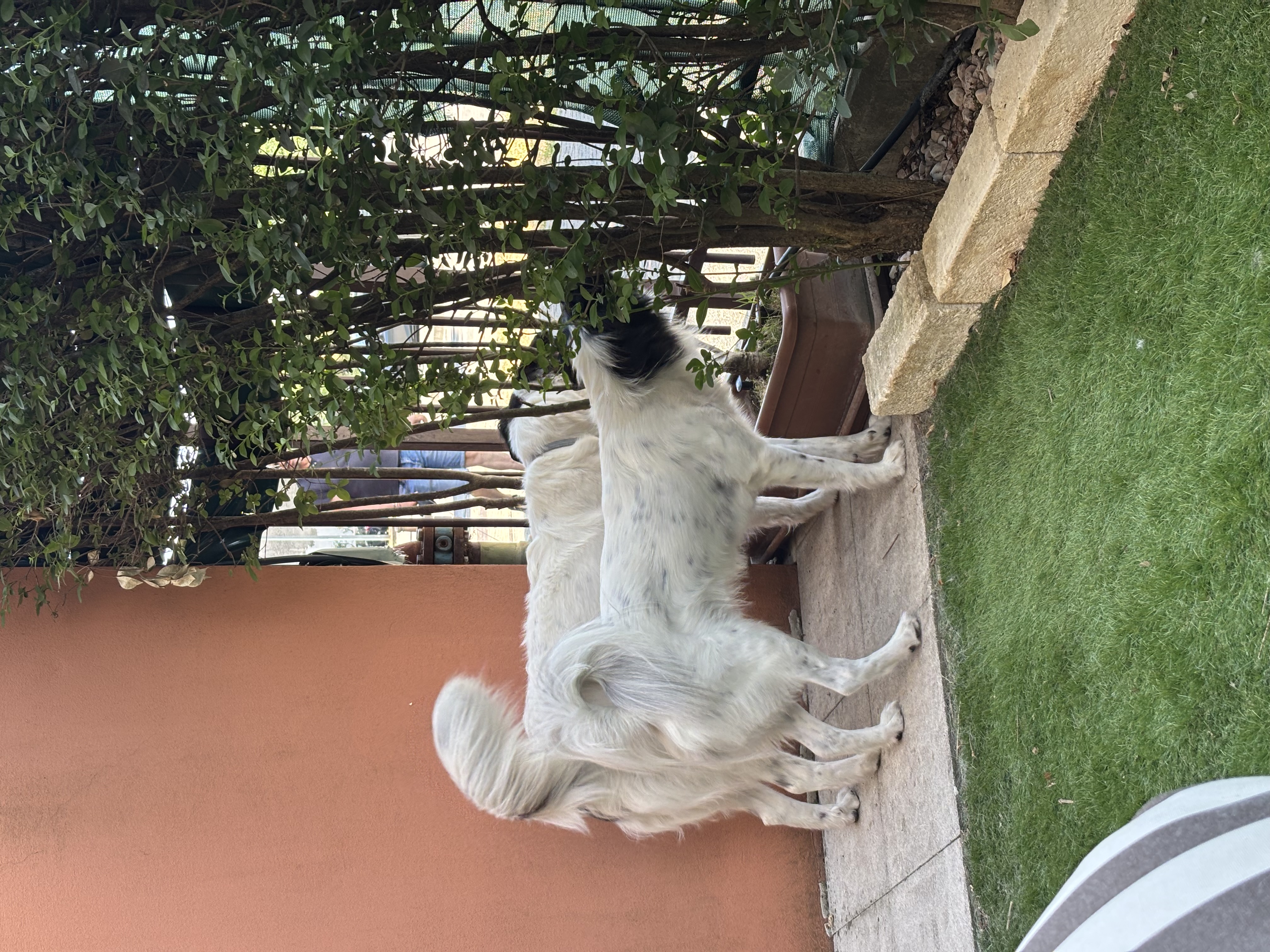 image-15