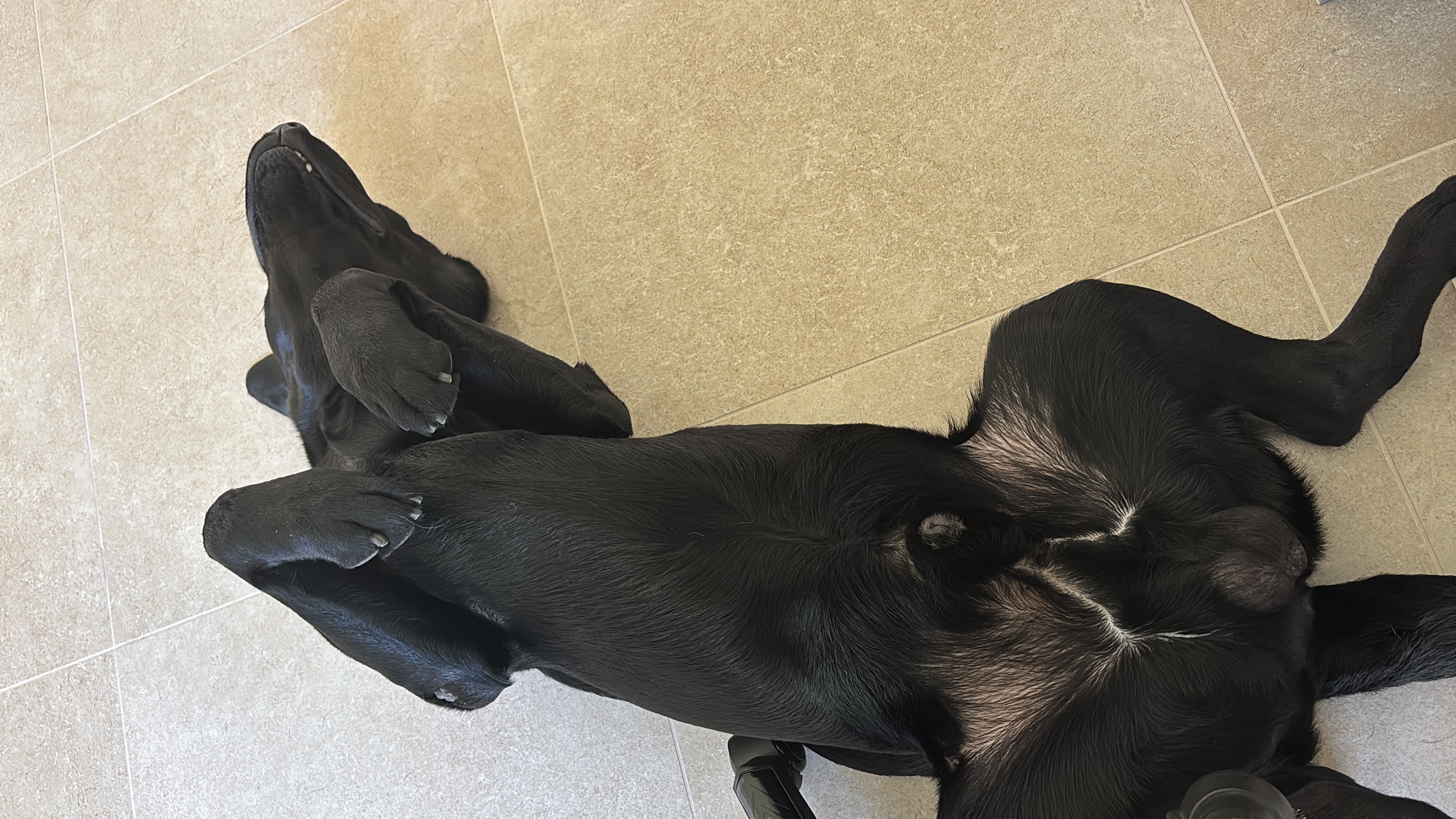 image-19