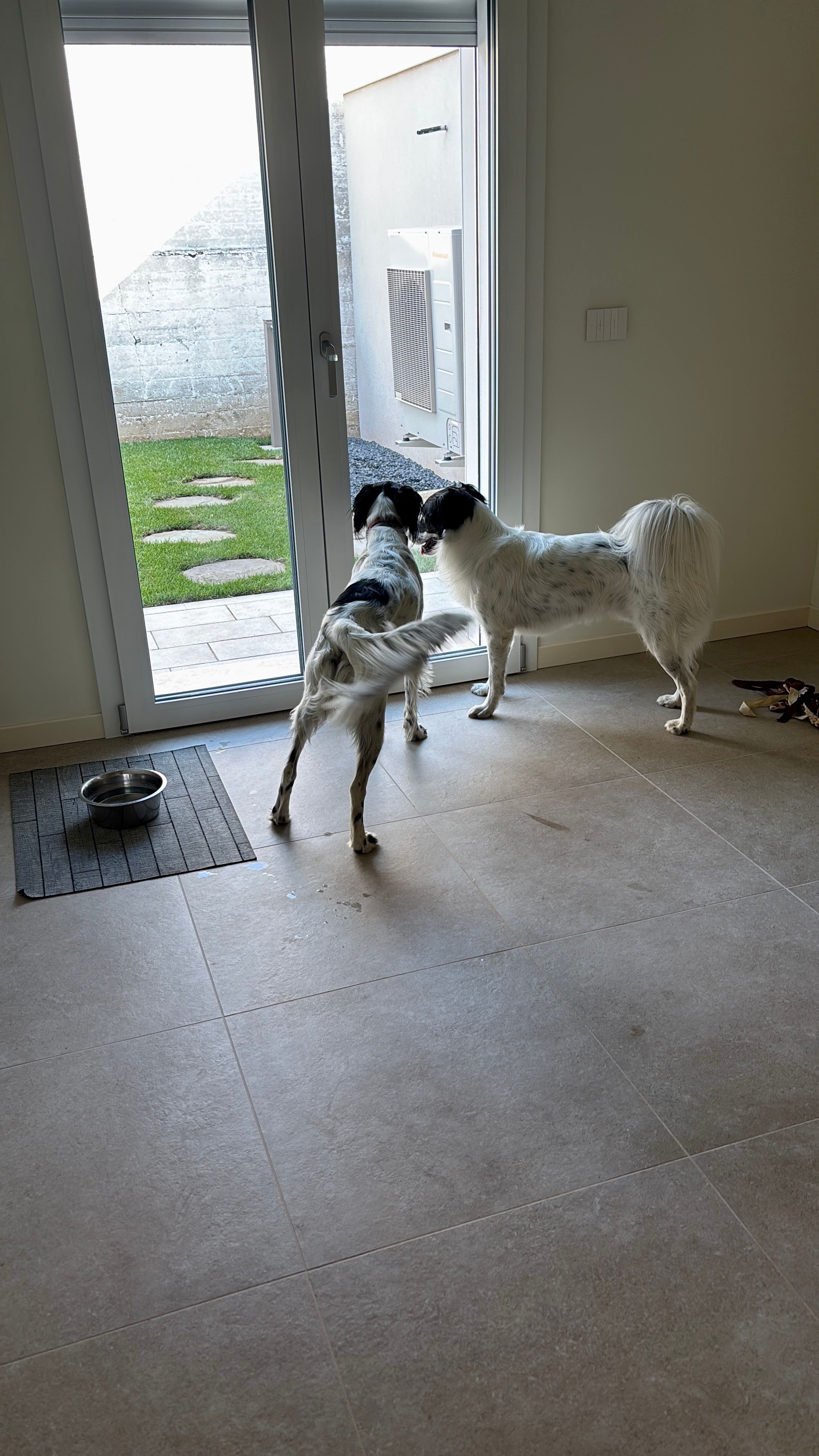 image-29