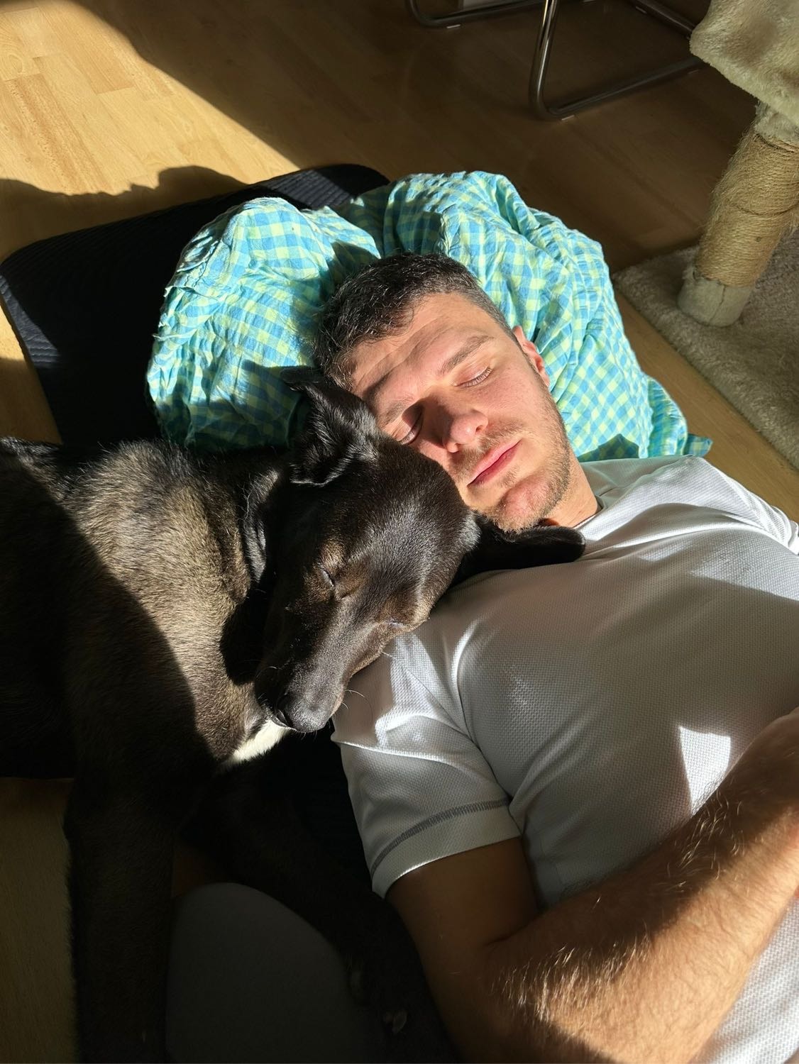 image-8