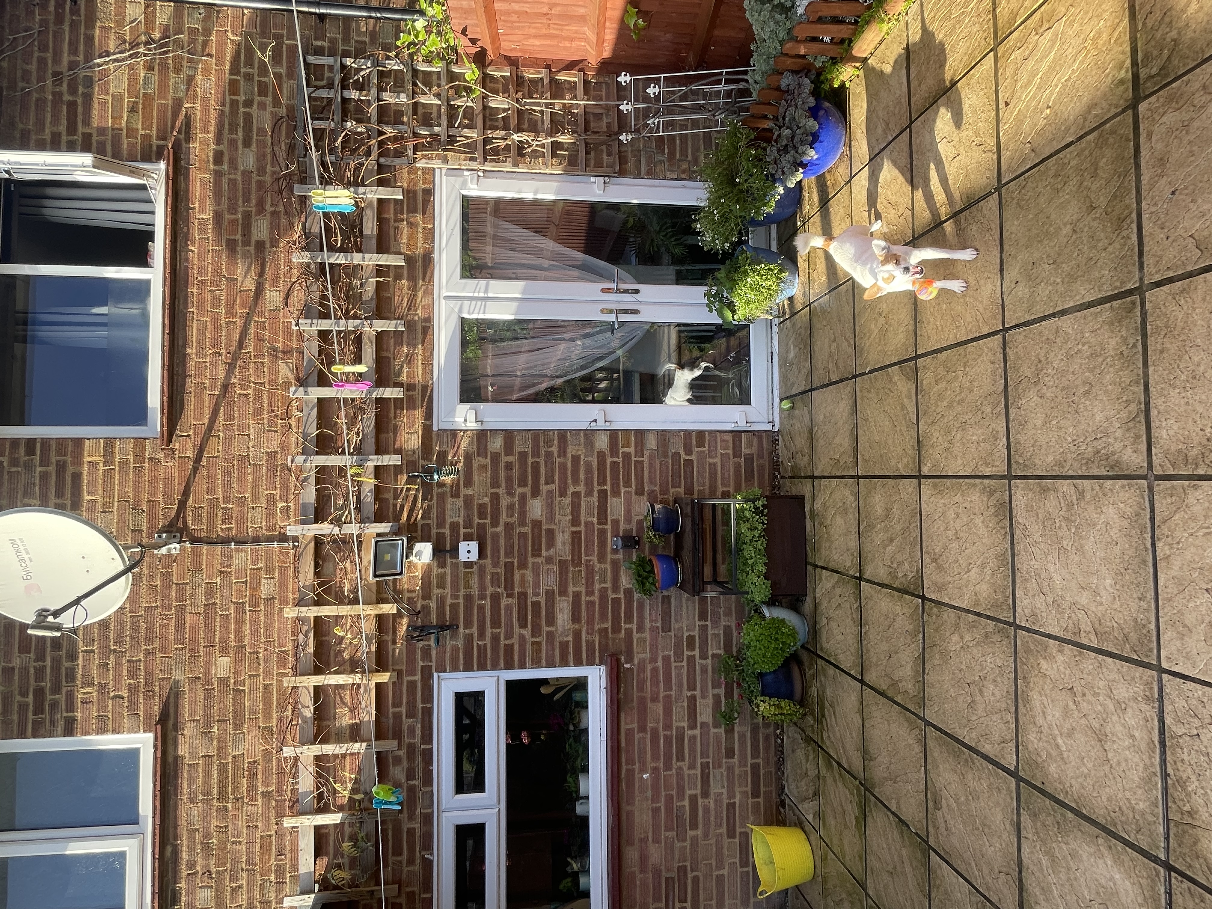 image-20
