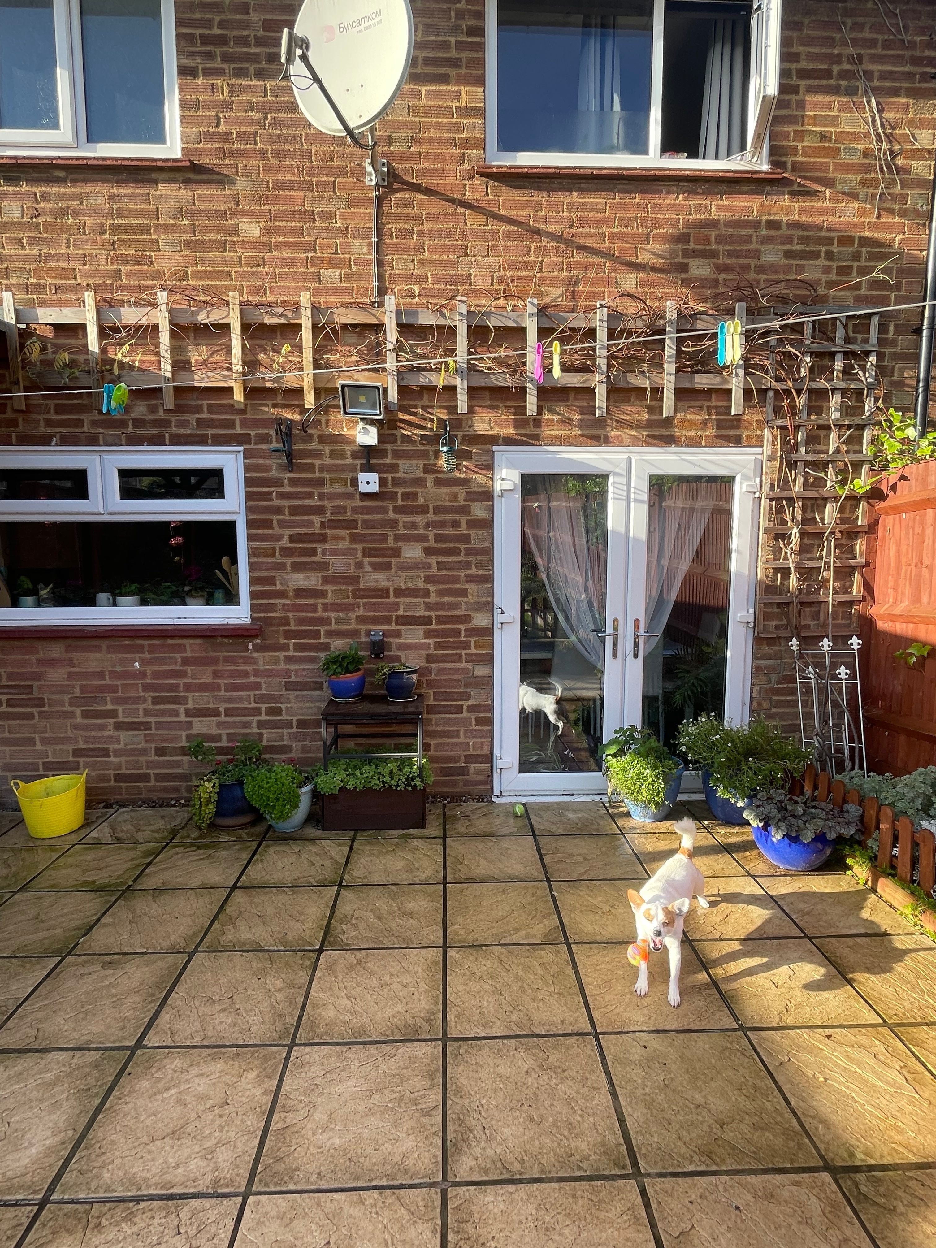 image-20