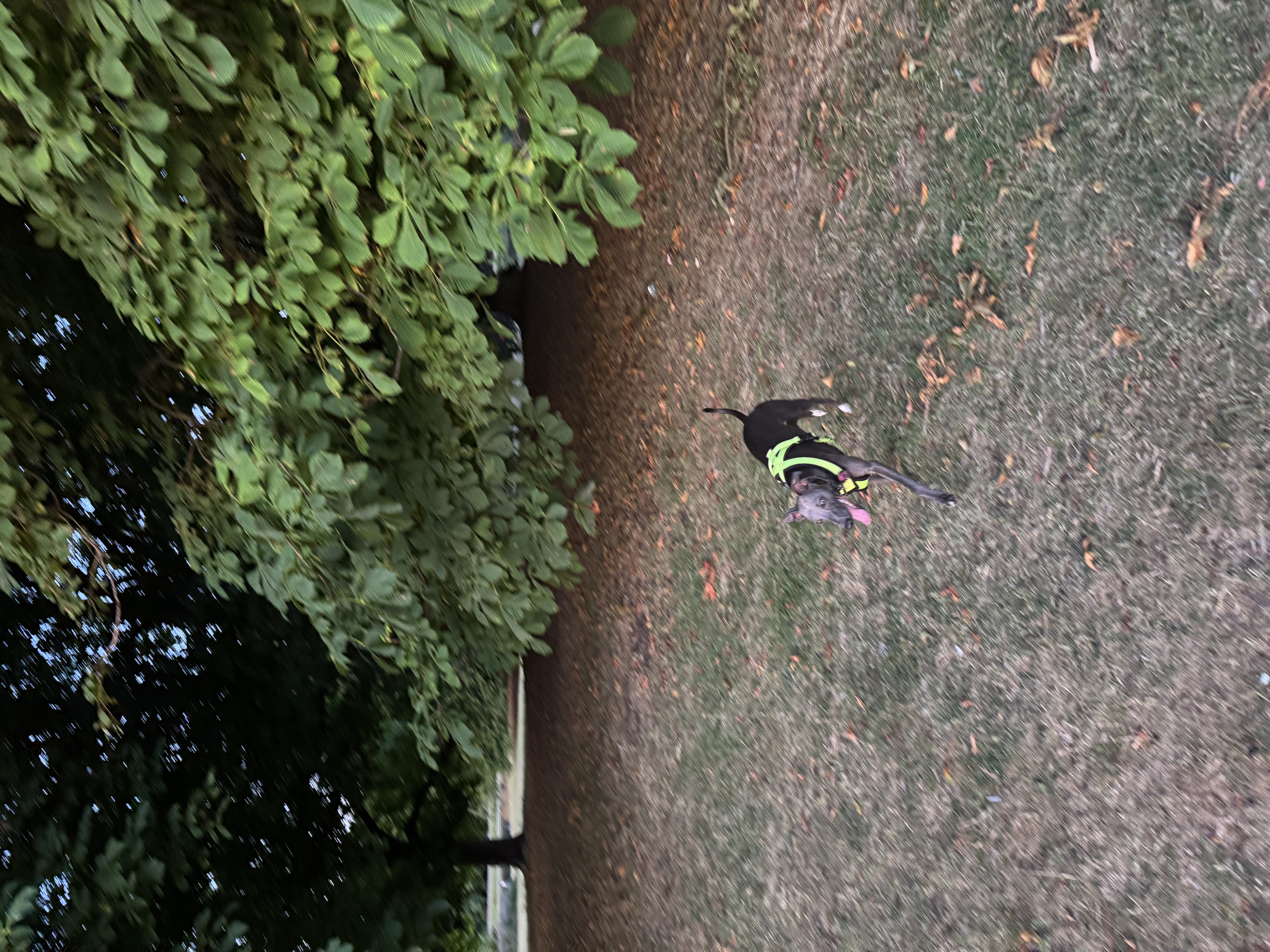 image-15