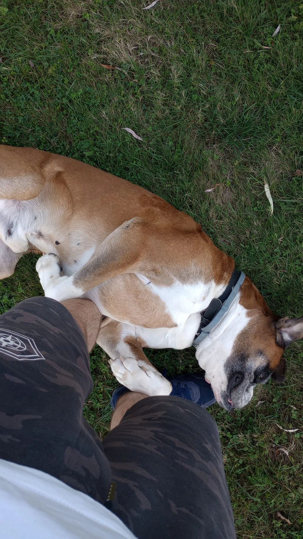 image-7
