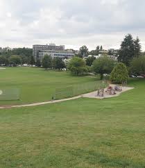 image-25