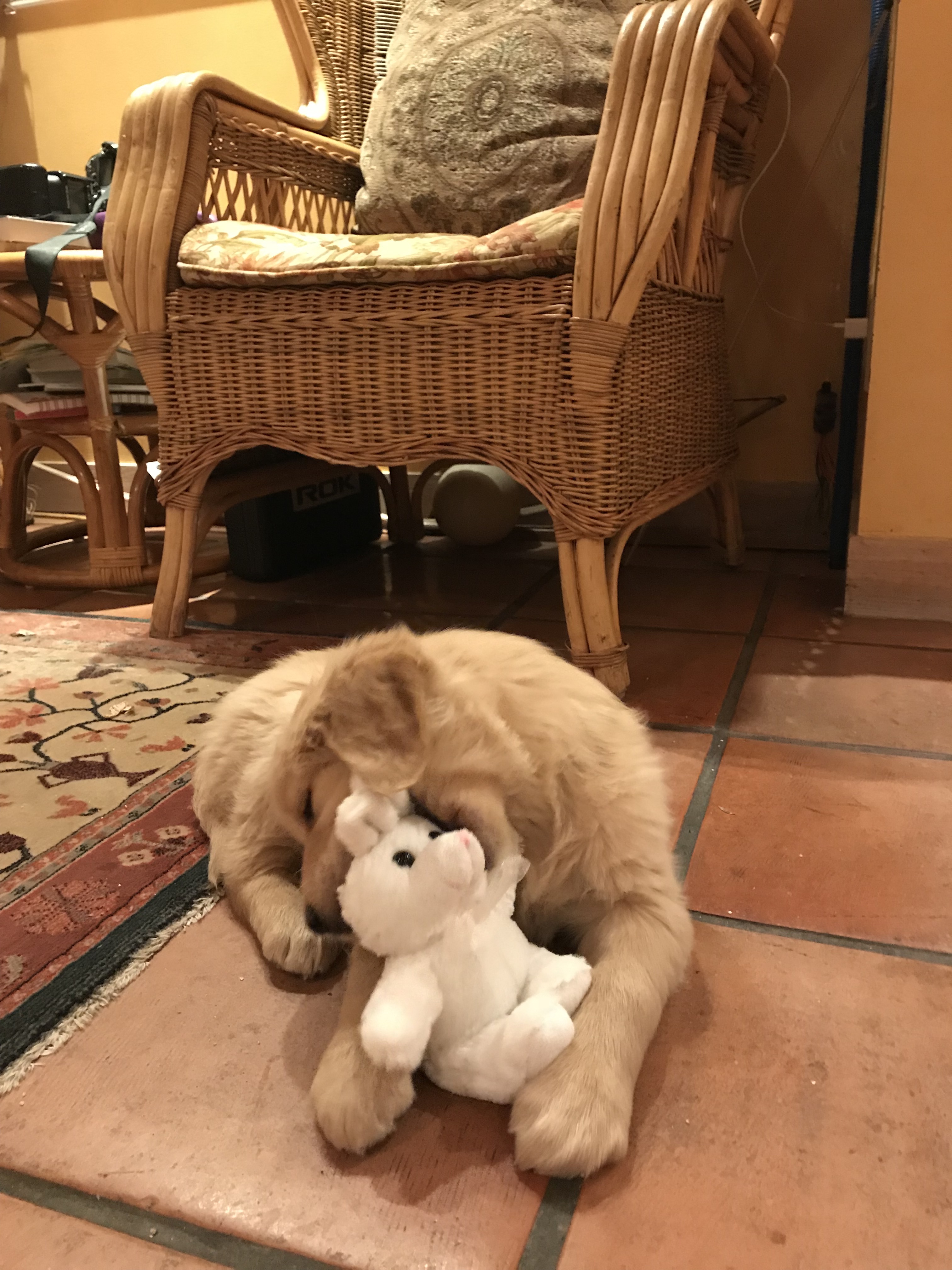 image-18