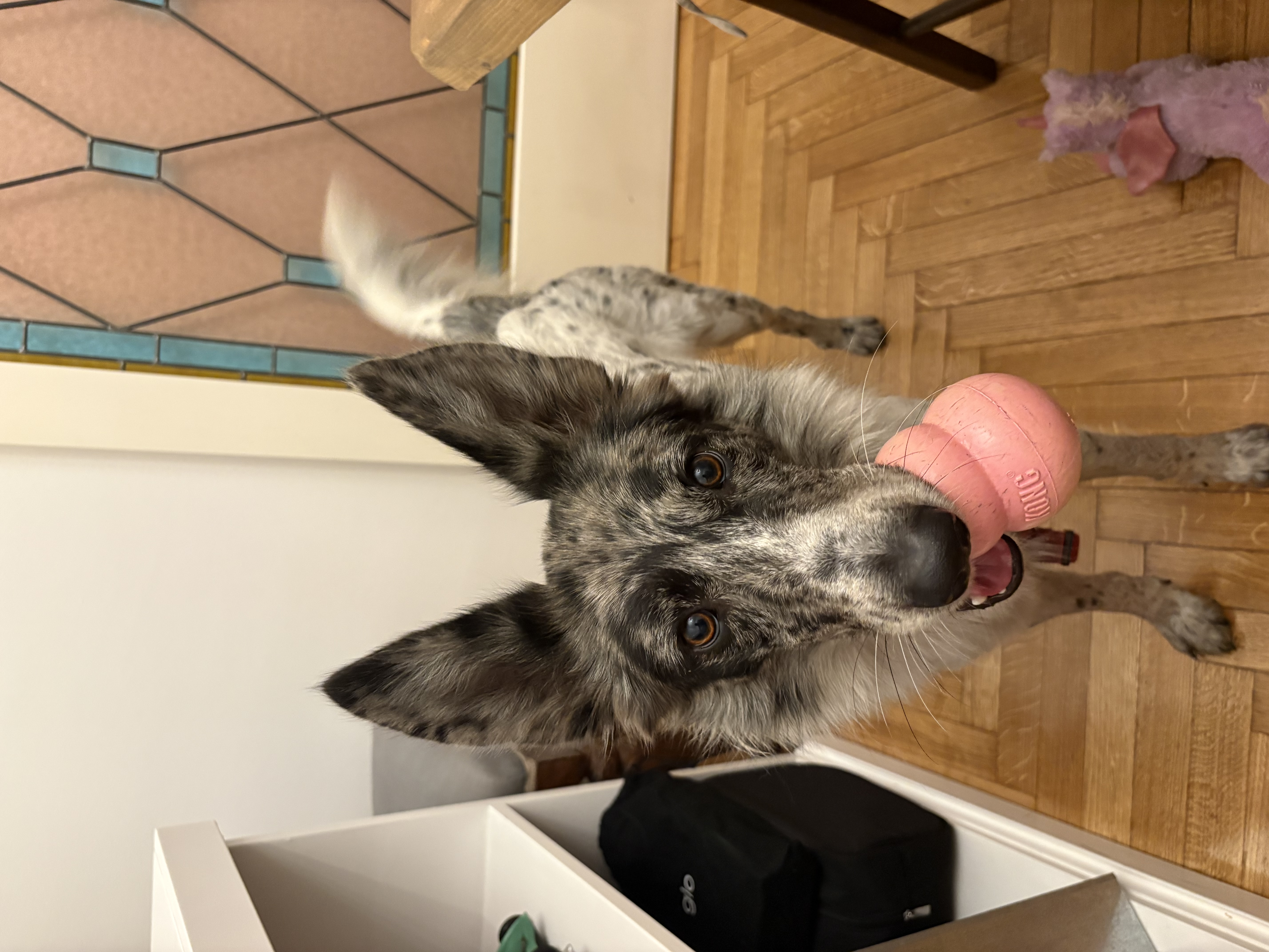 image-9