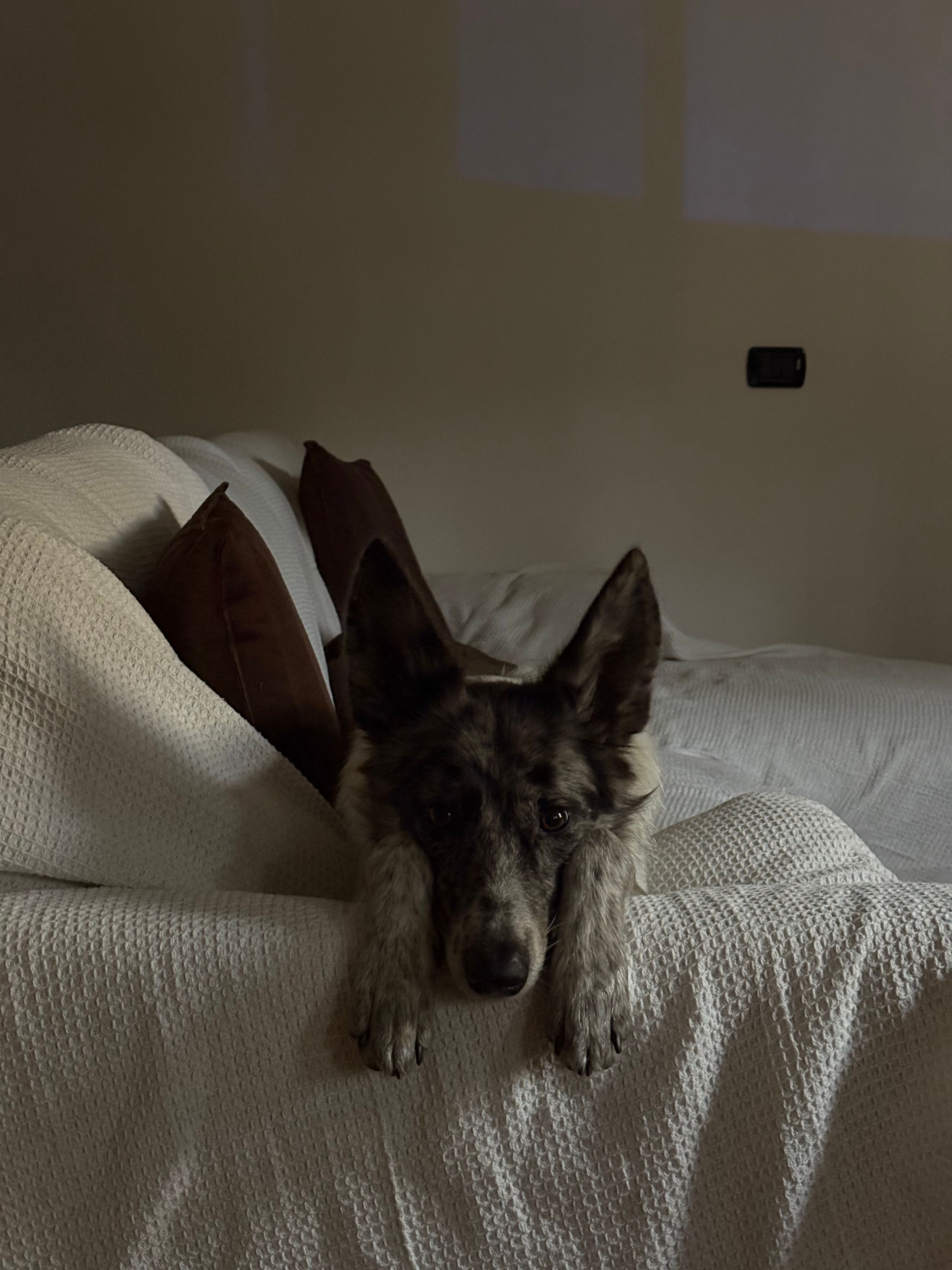 image-10