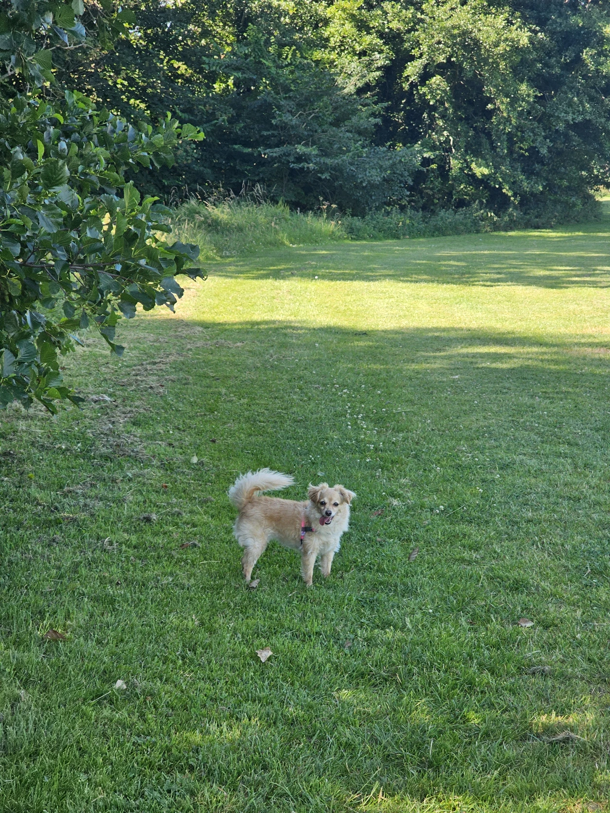 image-10