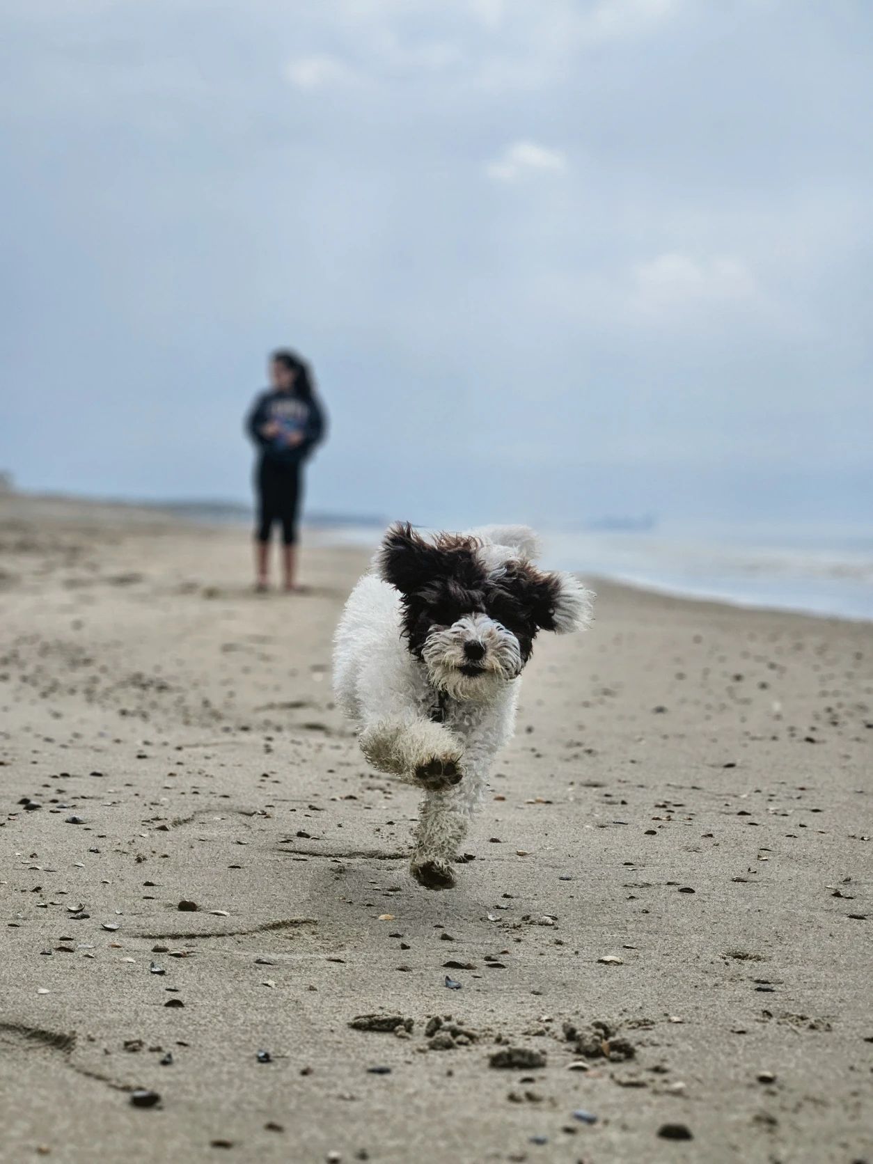 image-9