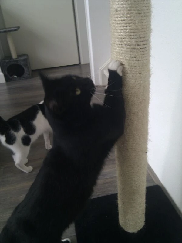 image-11