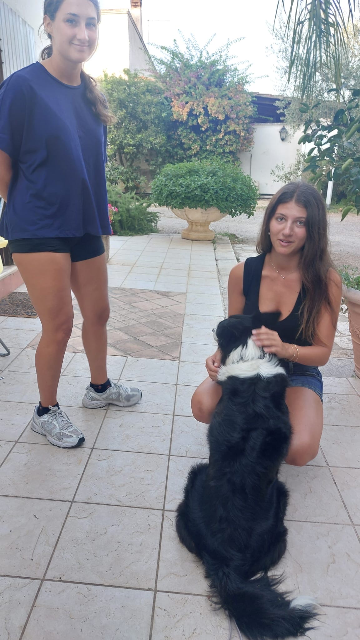 image-17