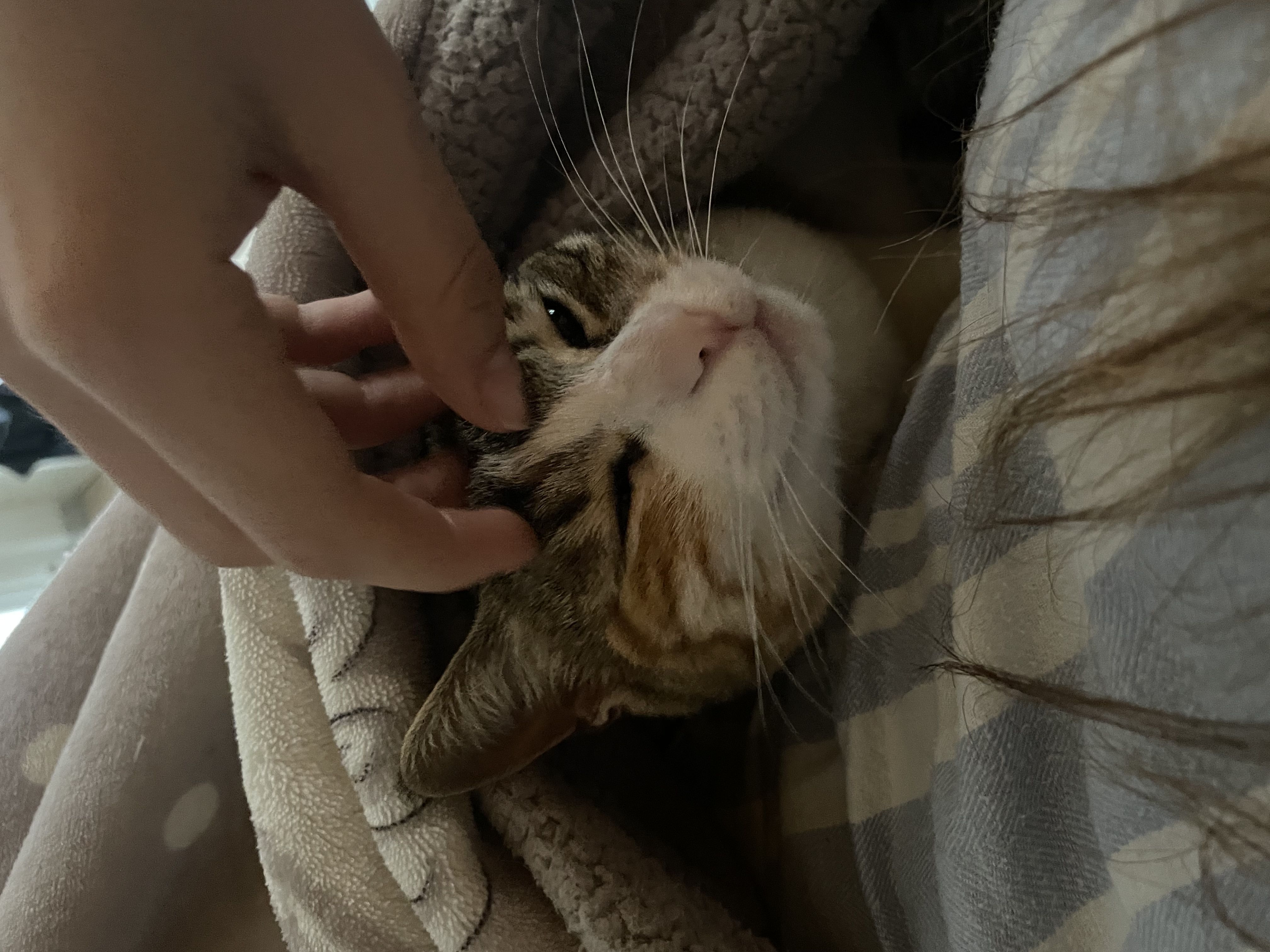 image-9