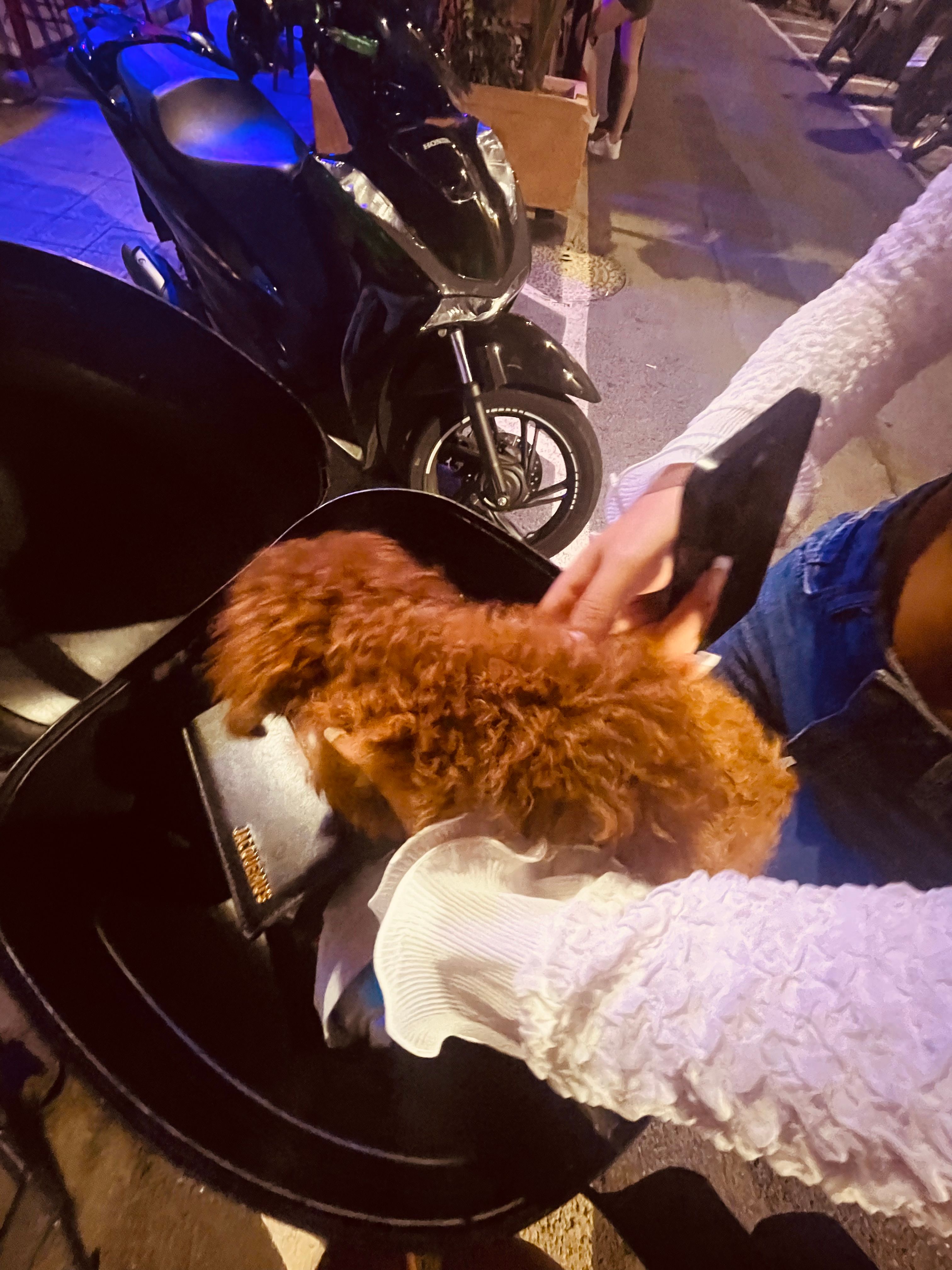 image-7