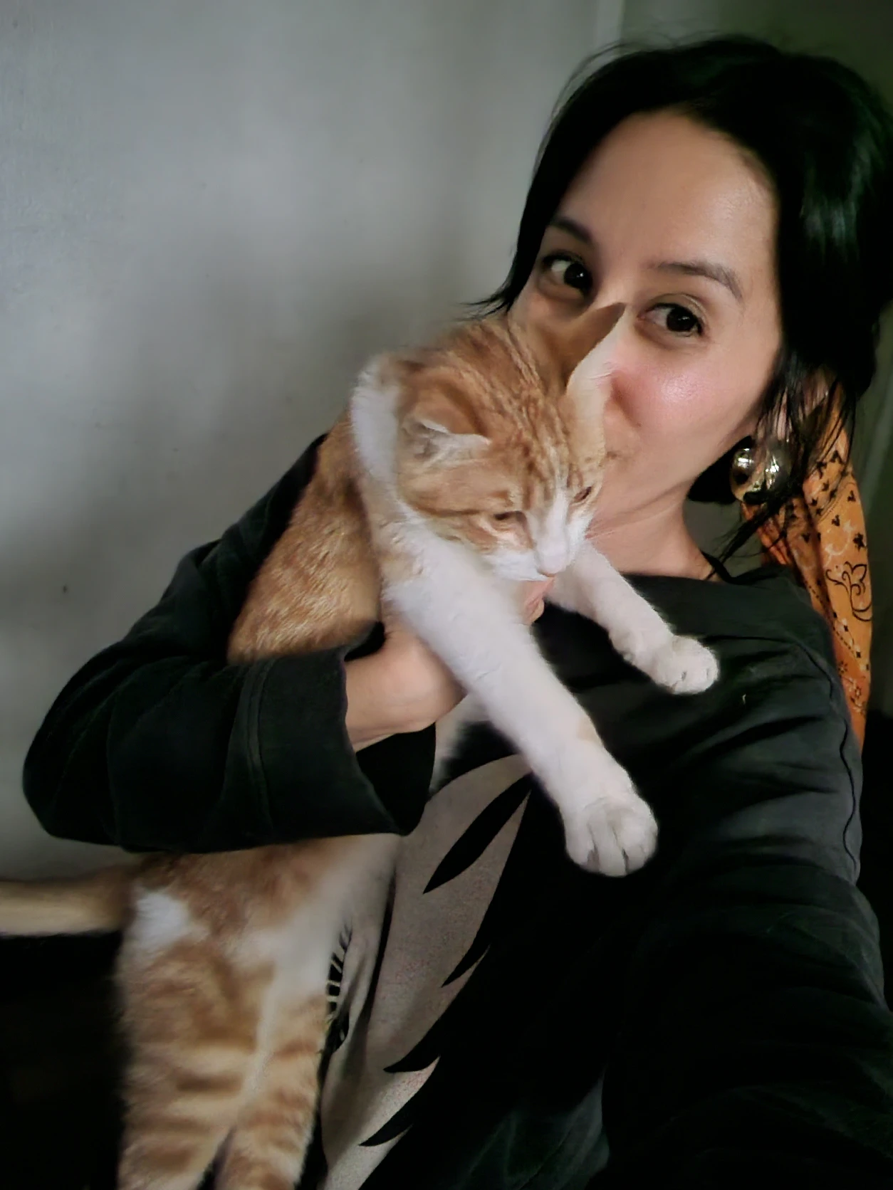 image-21