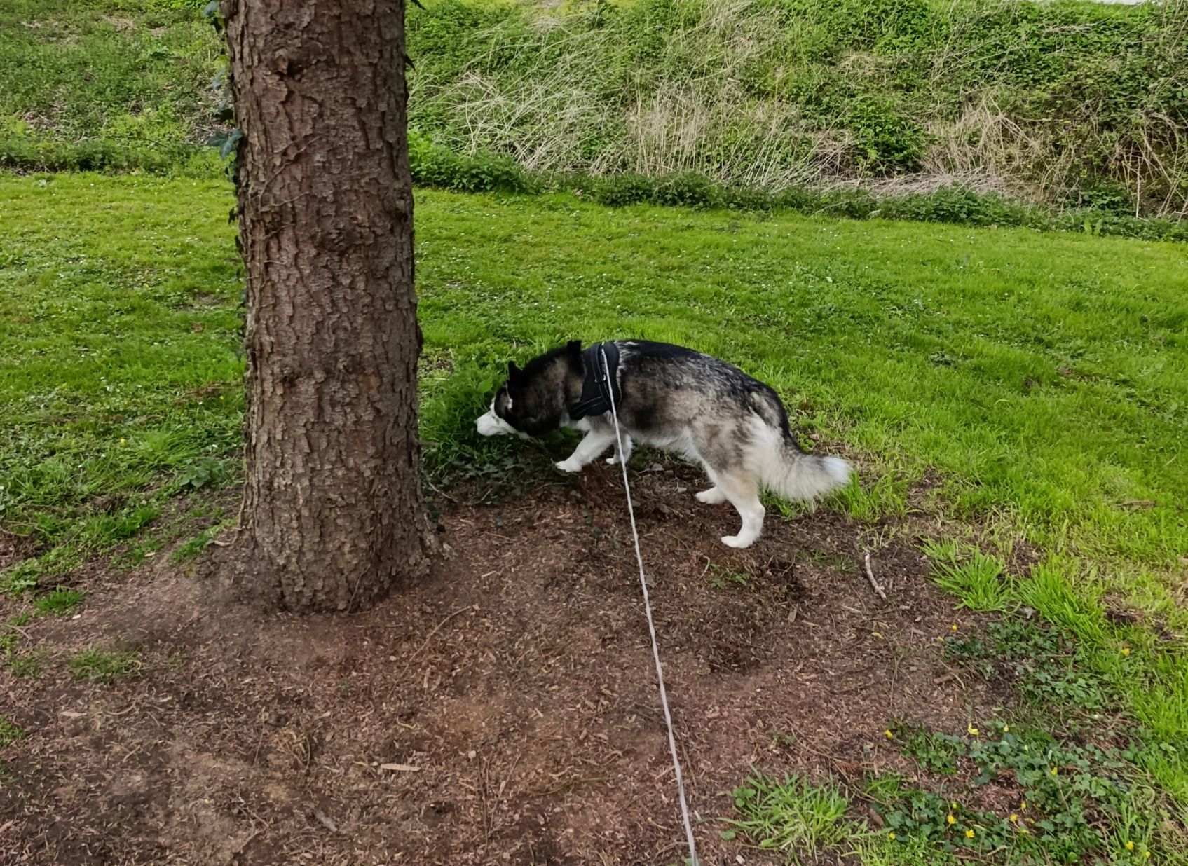 image-11