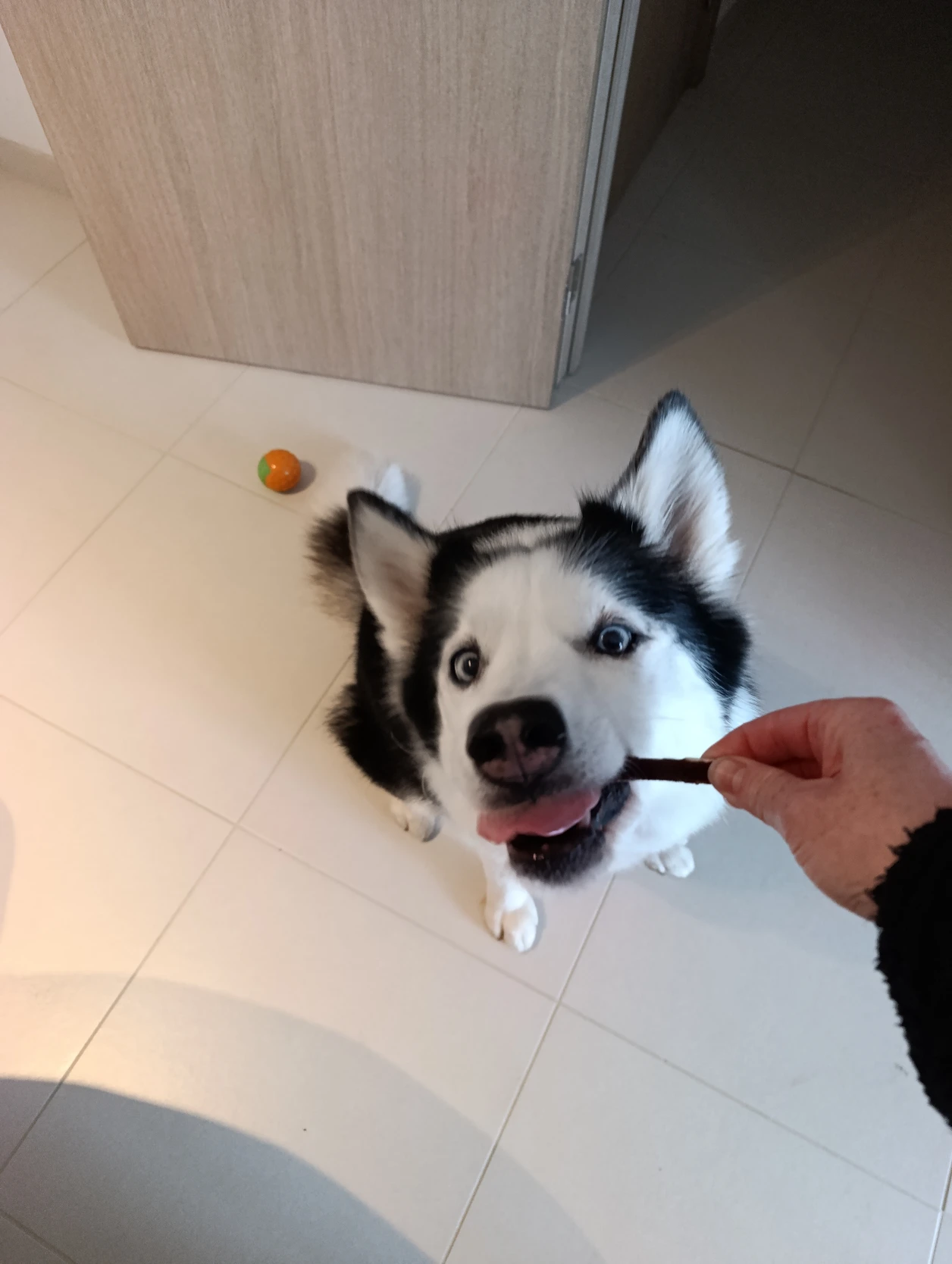 image-6