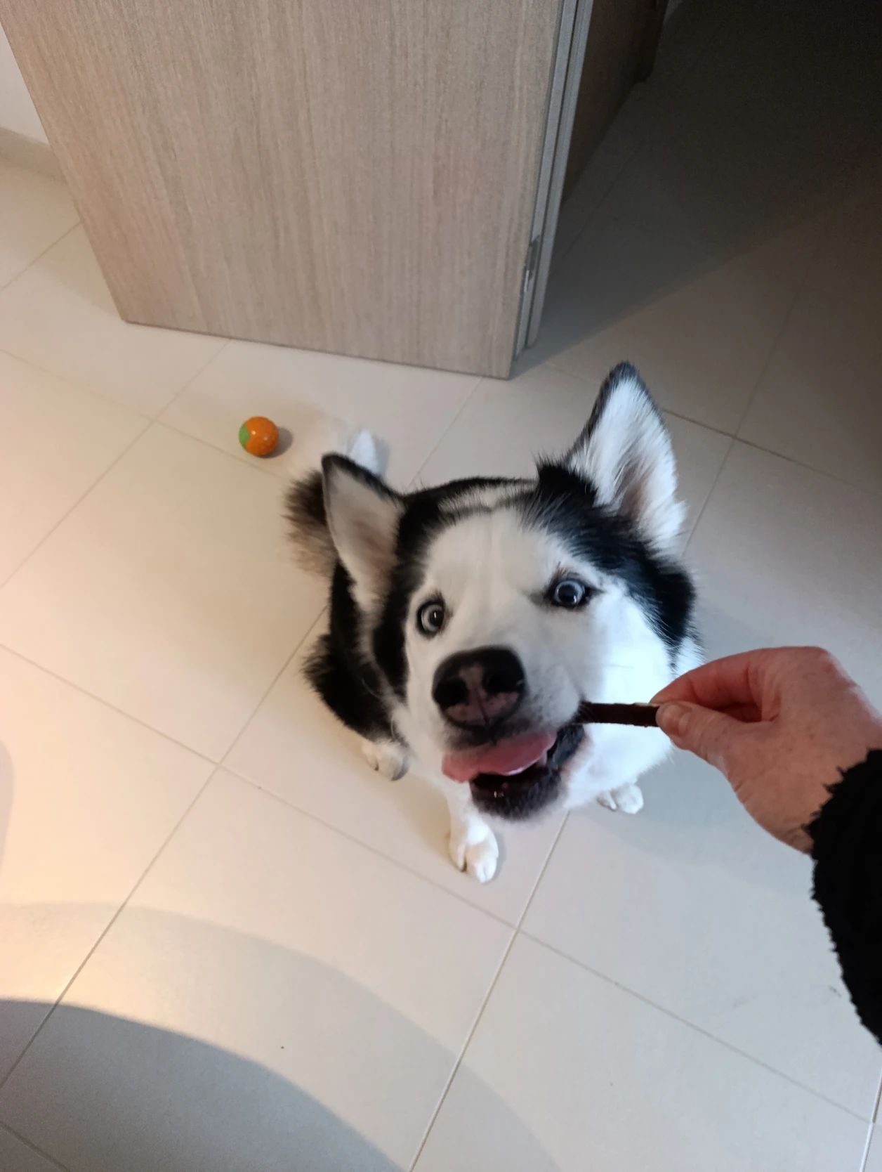 image-6