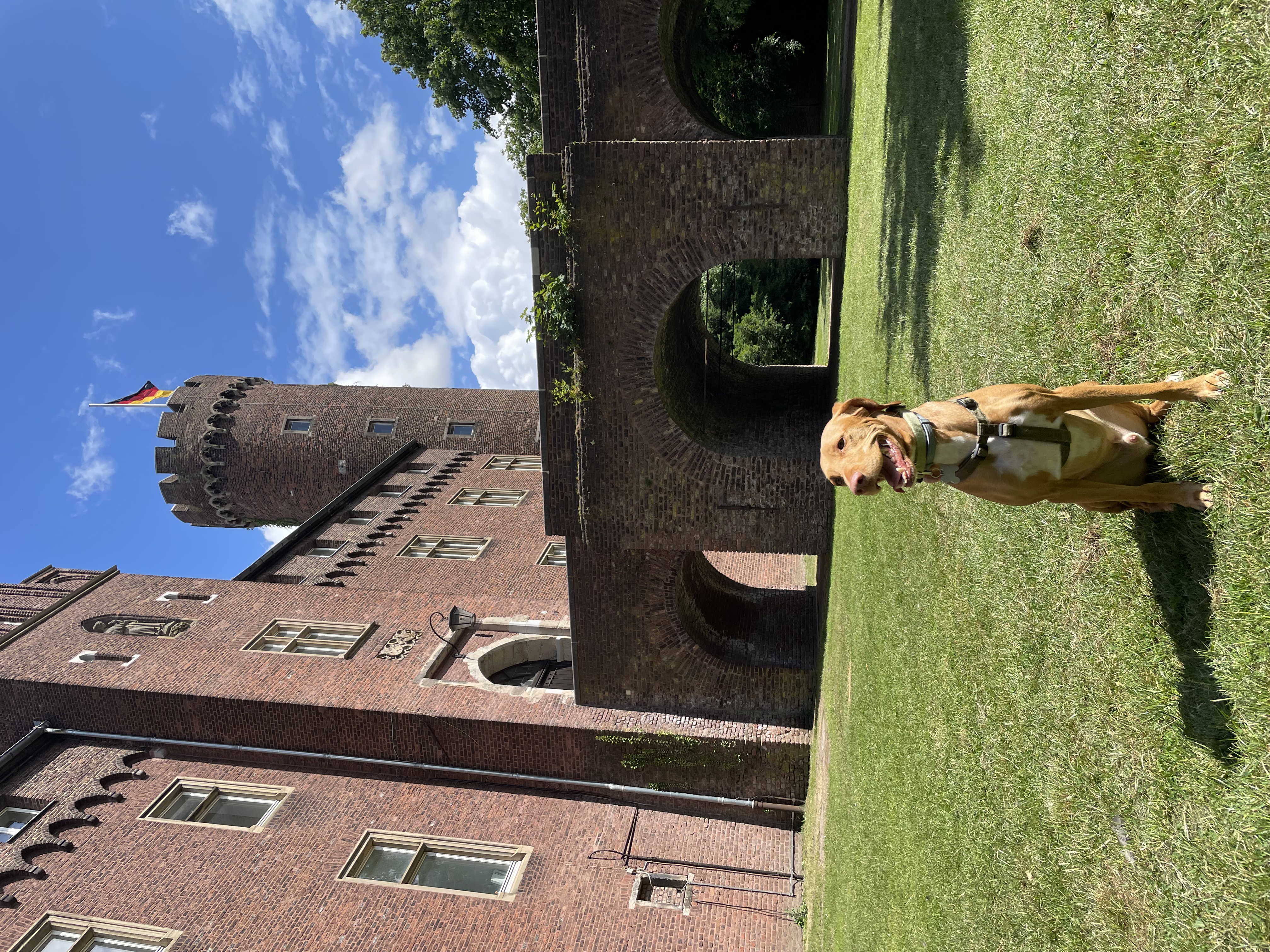 image-5