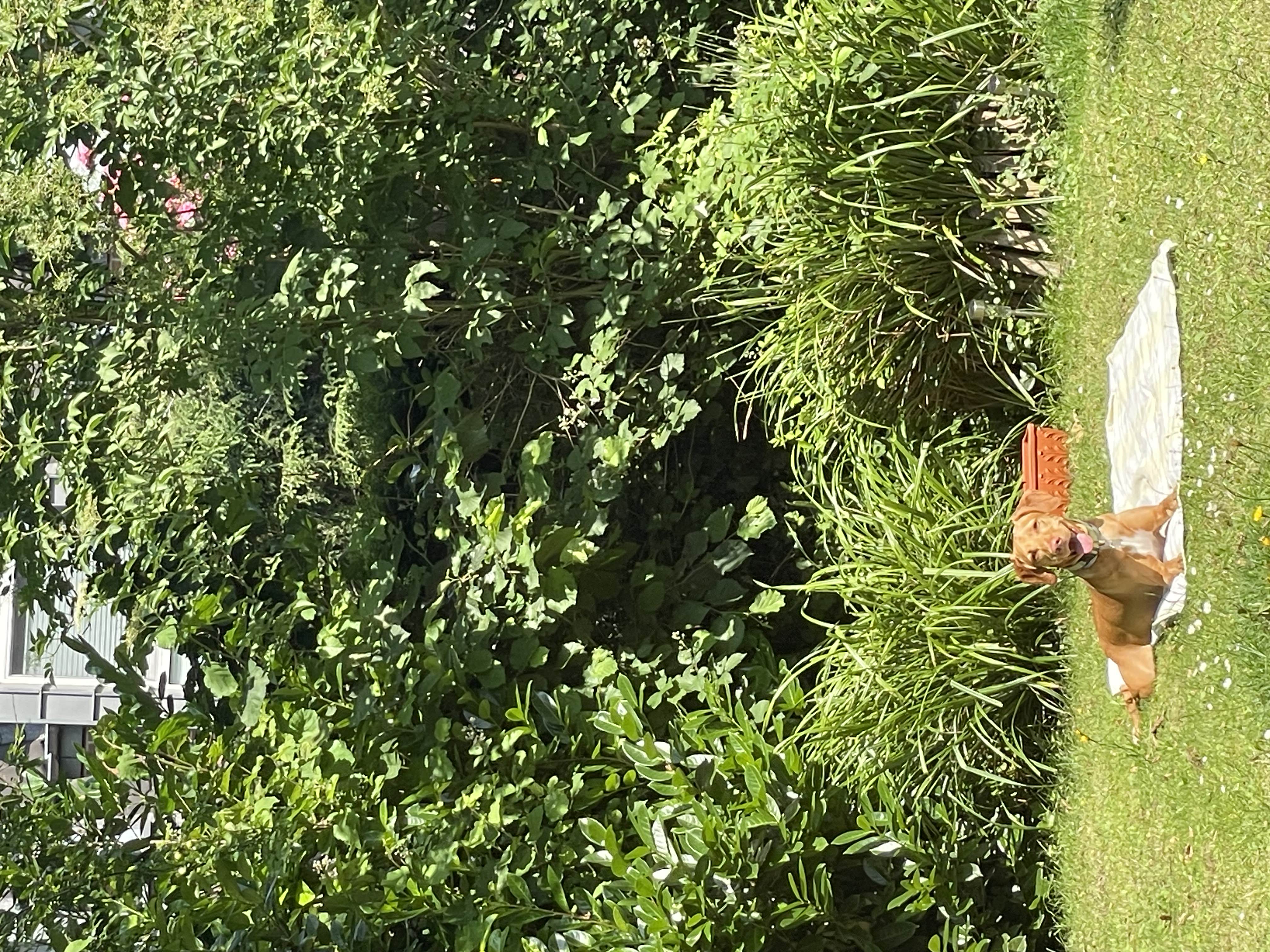 image-6